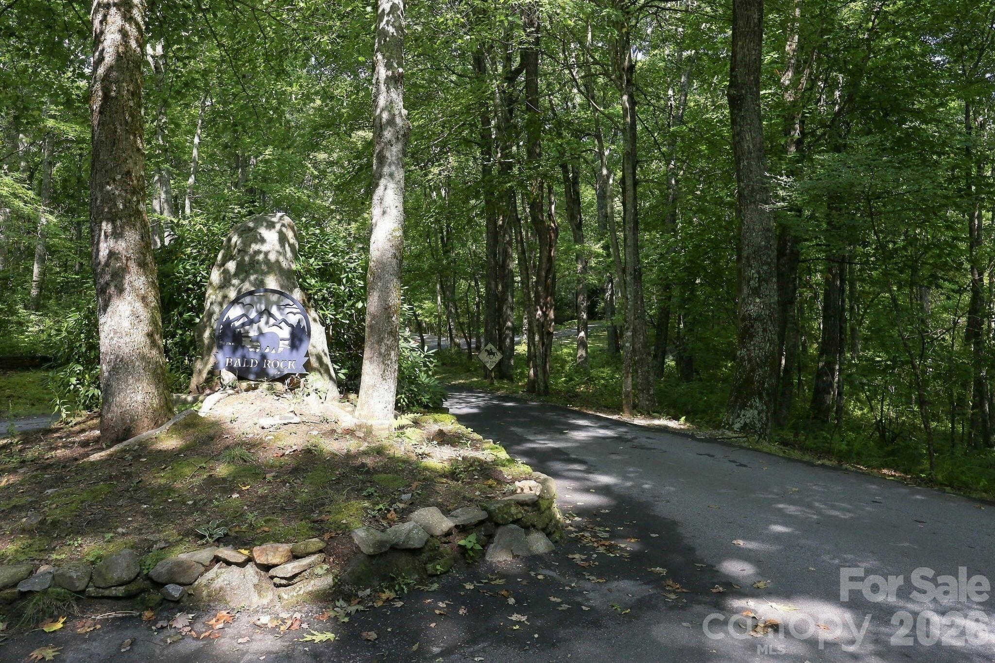 Lot at 2619 Trays Island Road, Sapphire, photo 2 of 10
