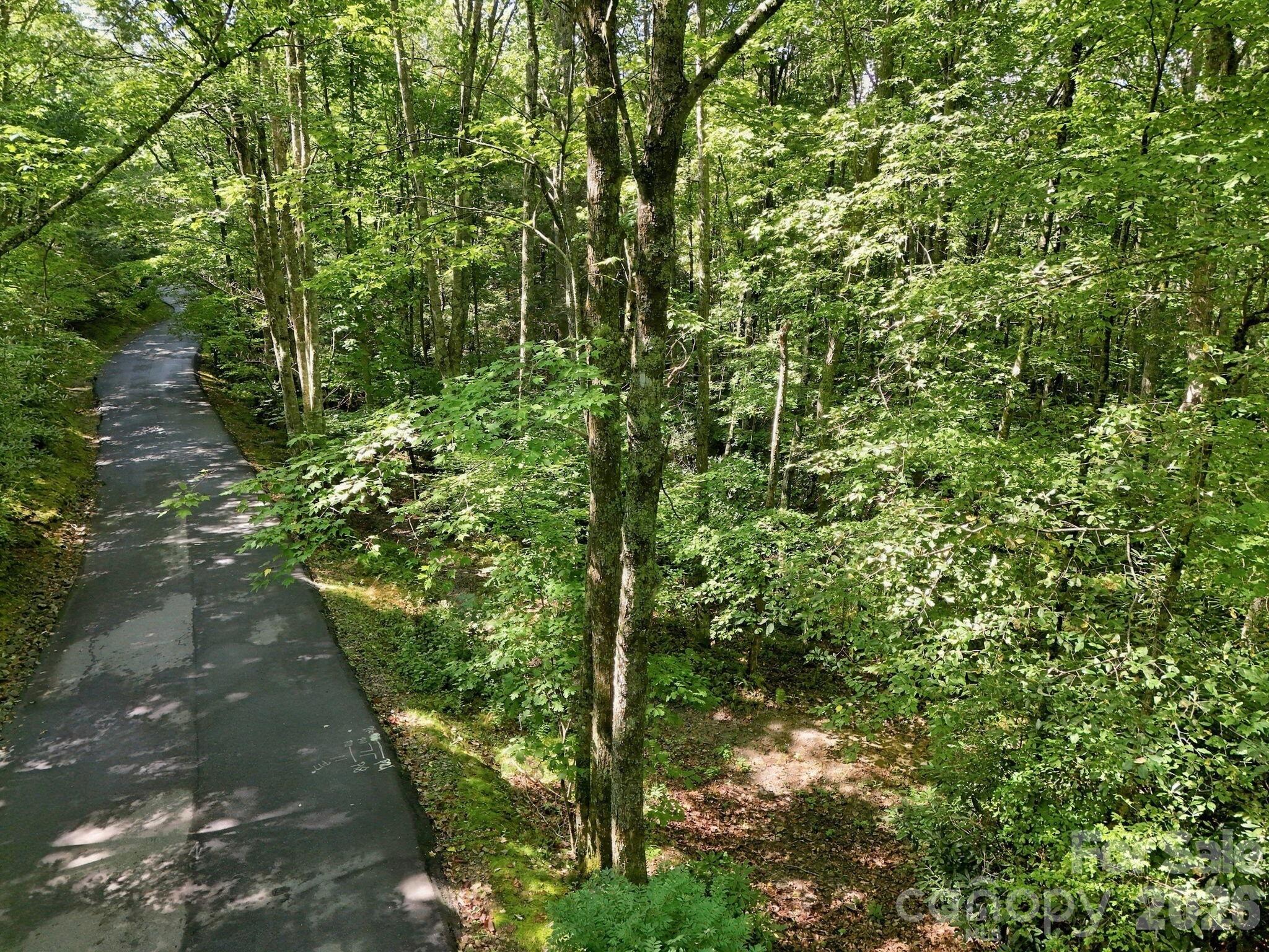 Lot at 2619 Trays Island Road, Sapphire, photo 3 of 10
