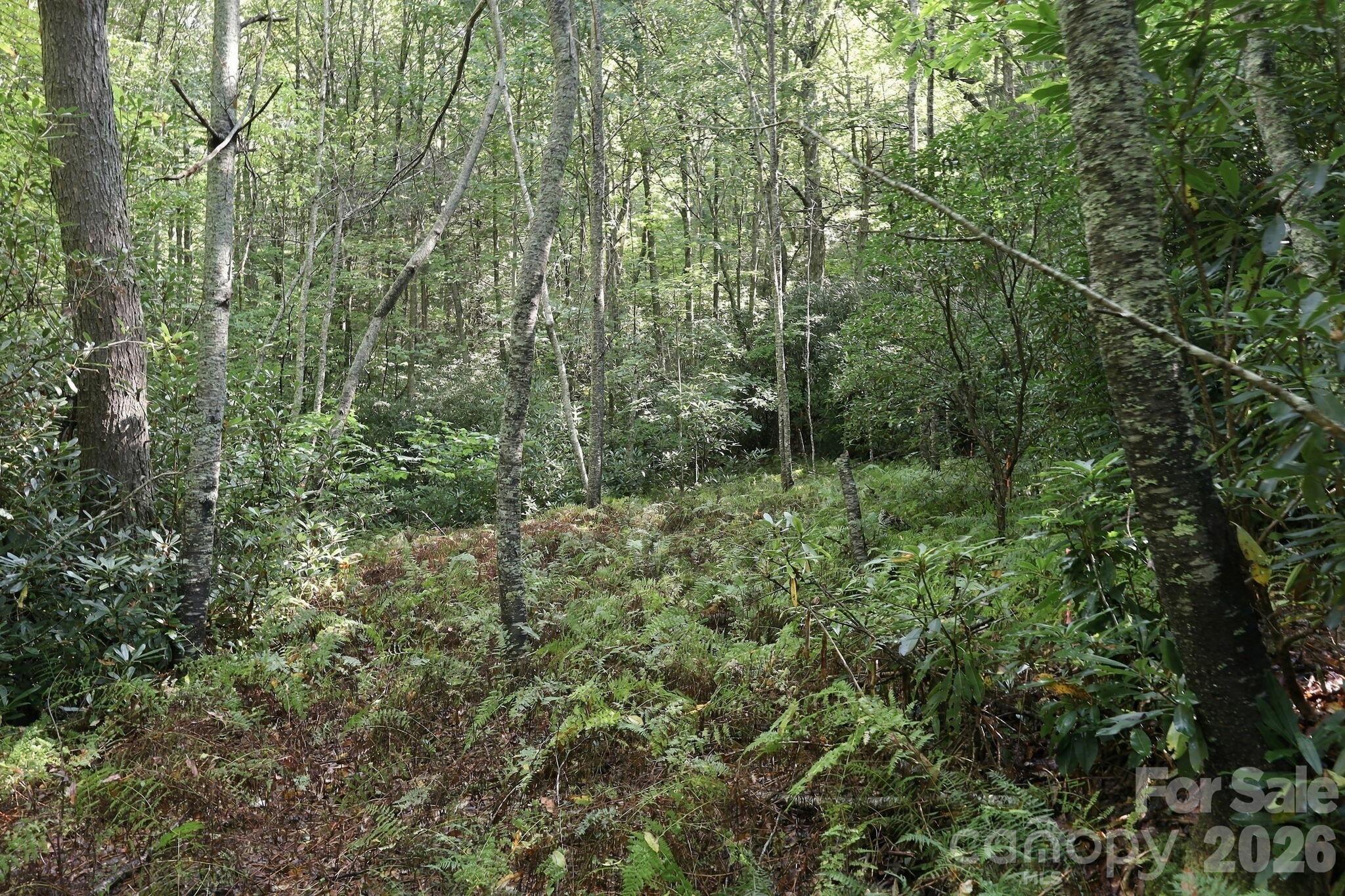 Lot at 2619 Trays Island Road, Sapphire, photo 4 of 10
