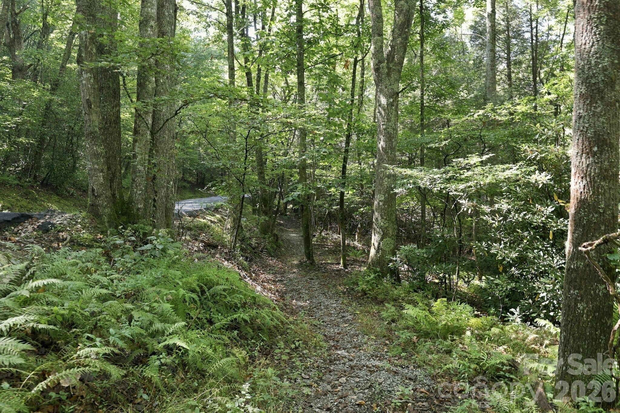Lot at 2619 Trays Island Road, Sapphire, photo 5 of 10