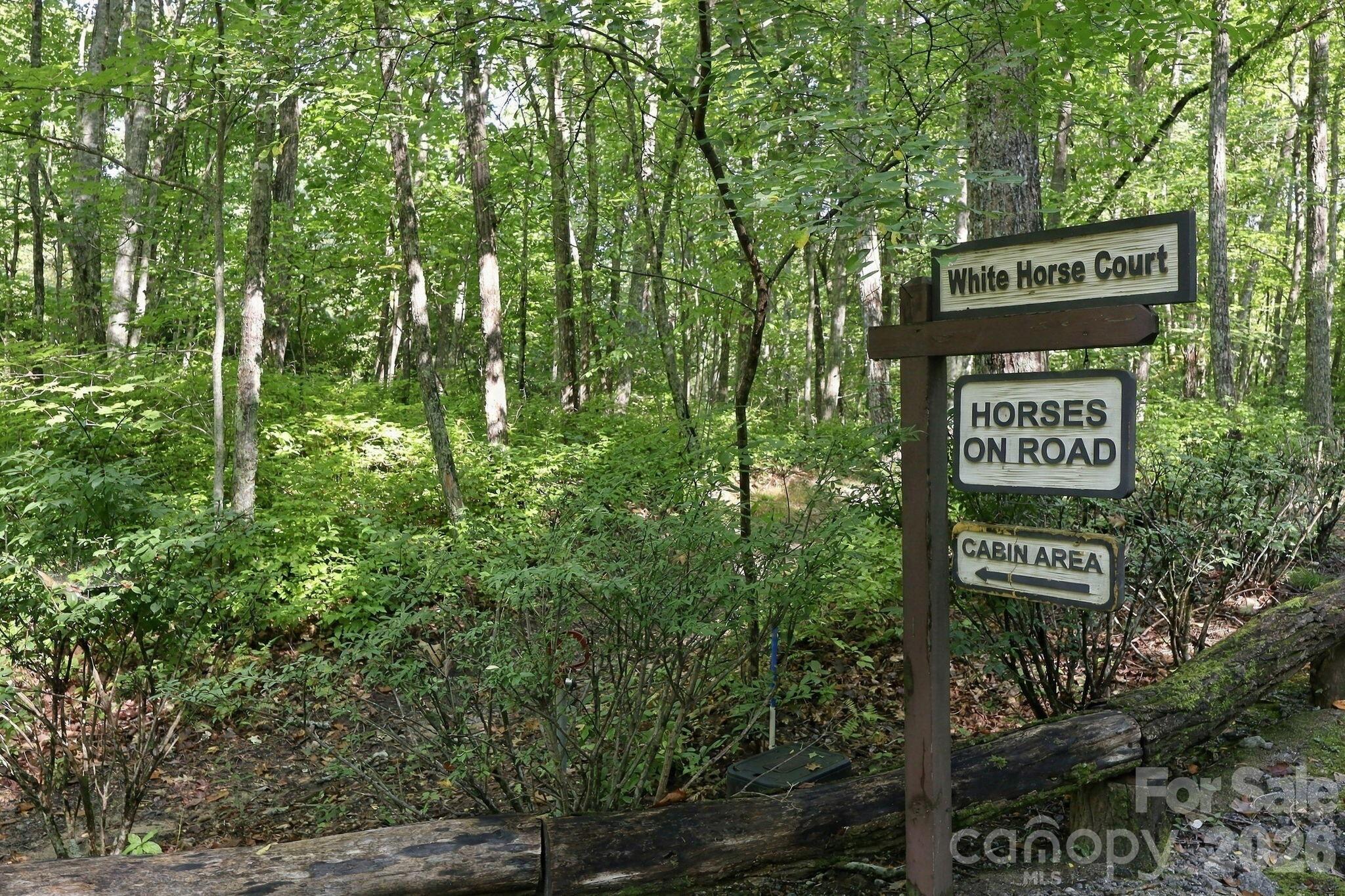 Lot at 2619 Trays Island Road, Sapphire, photo 6 of 10
