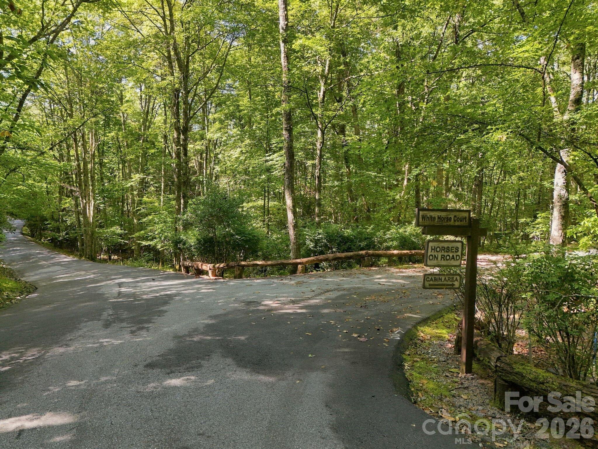 Lot at 2619 Trays Island Road, Sapphire, photo 7 of 10