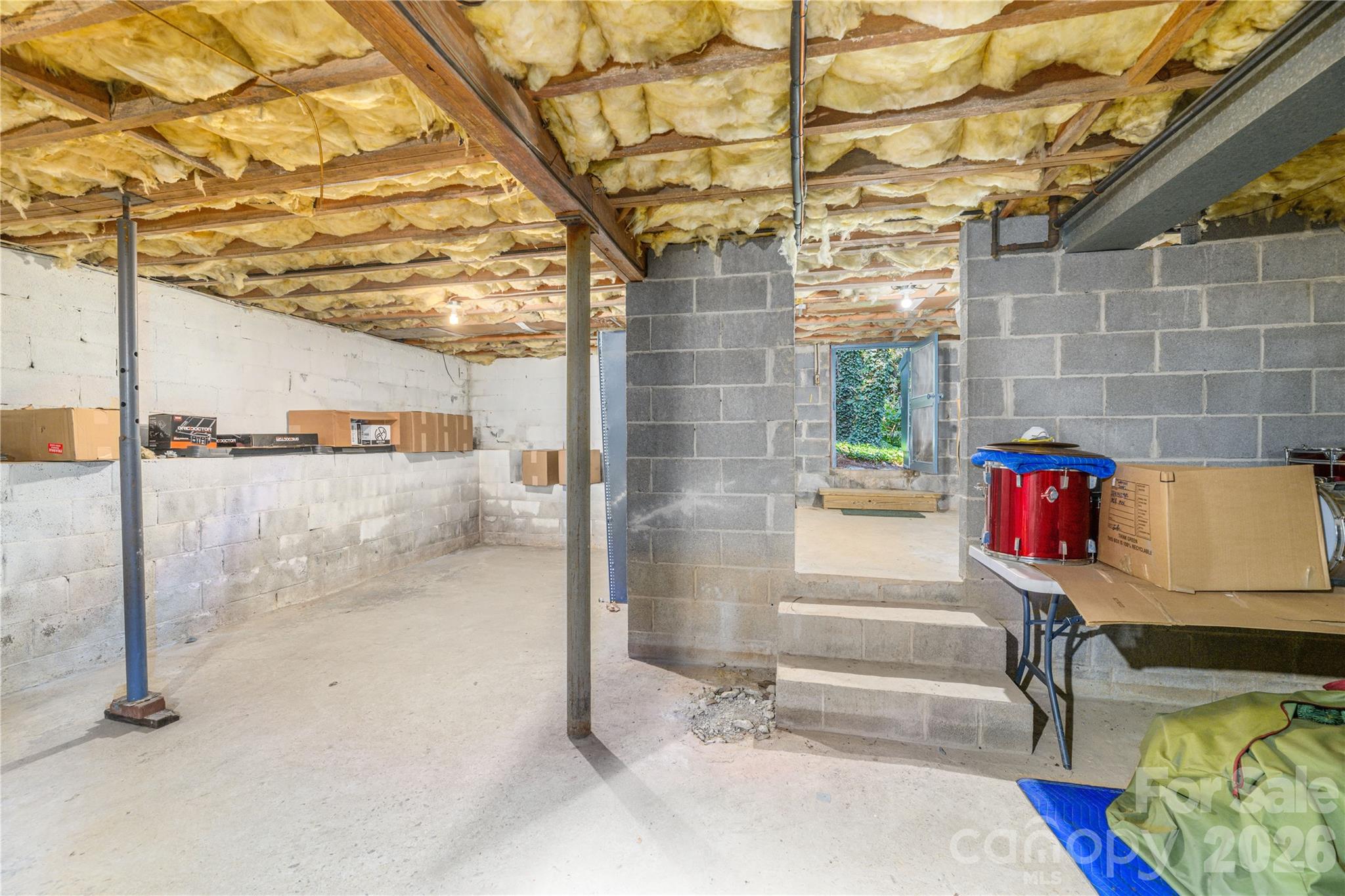 Large walk-in crawl space provides over 1000sf of storage space. - 111 Gracelyn Road, Asheville