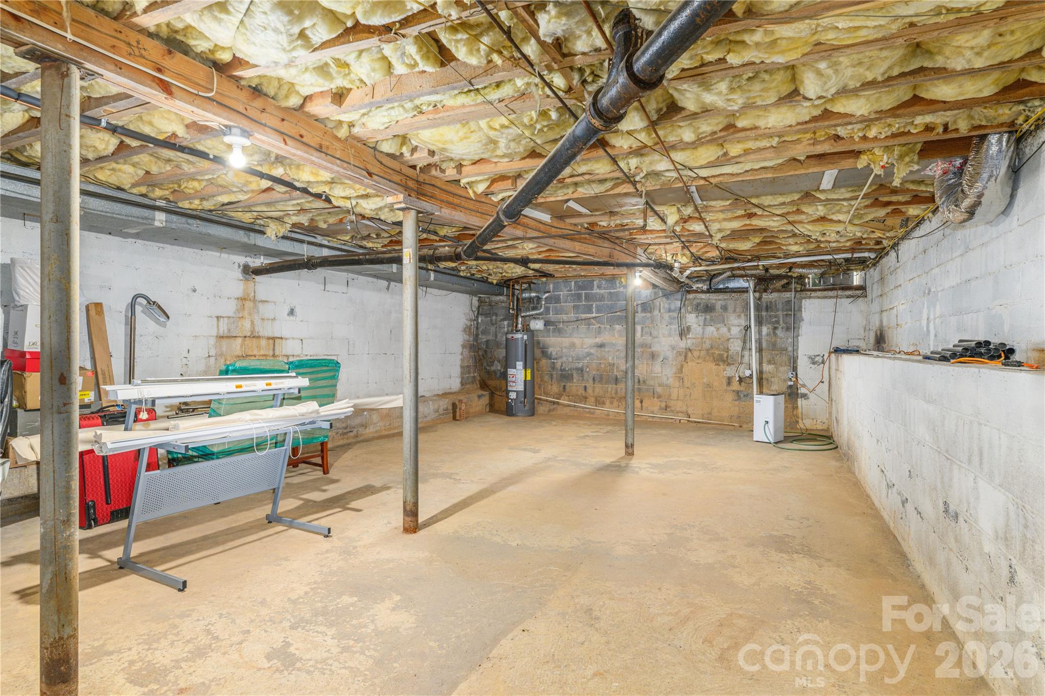 Walk-in crawl space. - 111 Gracelyn Road, Asheville