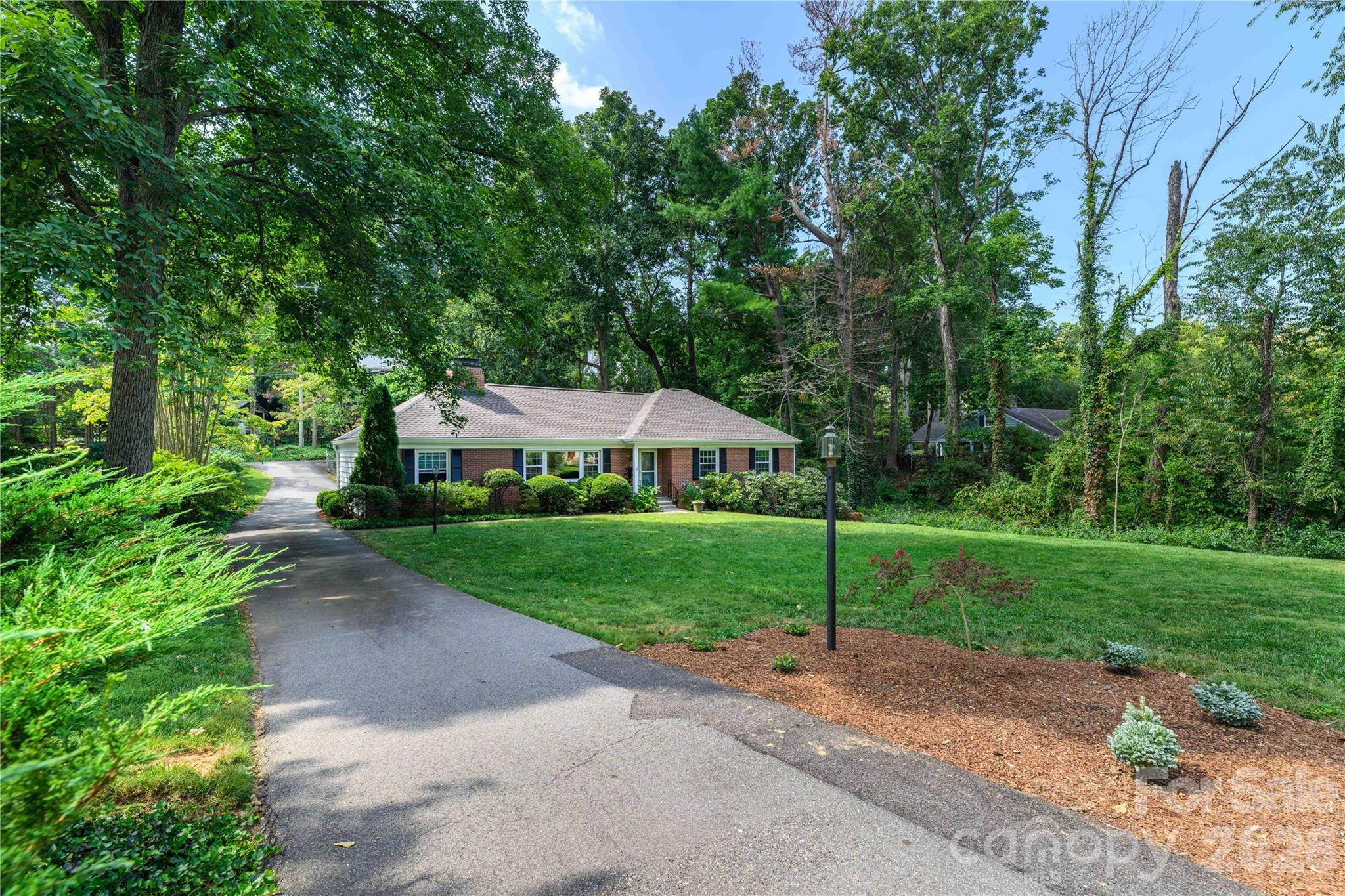 Beautiful level front yard with mature and newly installed landscaping. - 111 Gracelyn Road, Asheville