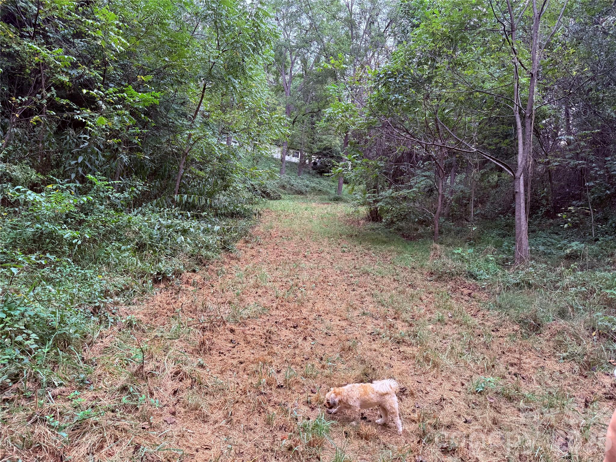 Lower field of dreams - 20 Clay Vessel Trail, Candler