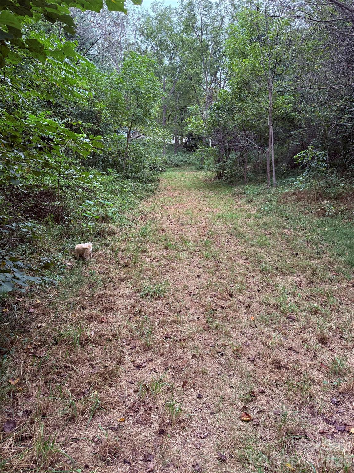 Single Family Residence at 20 Clay Vessel Trail, Candler, photo 31 of 35