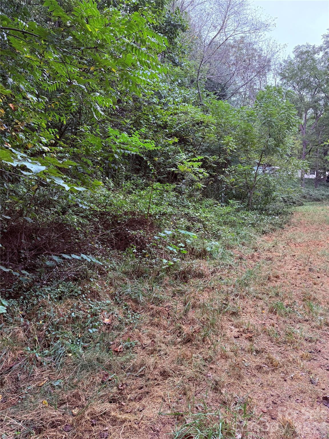 Single Family Residence at 20 Clay Vessel Trail, Candler, photo 33 of 35