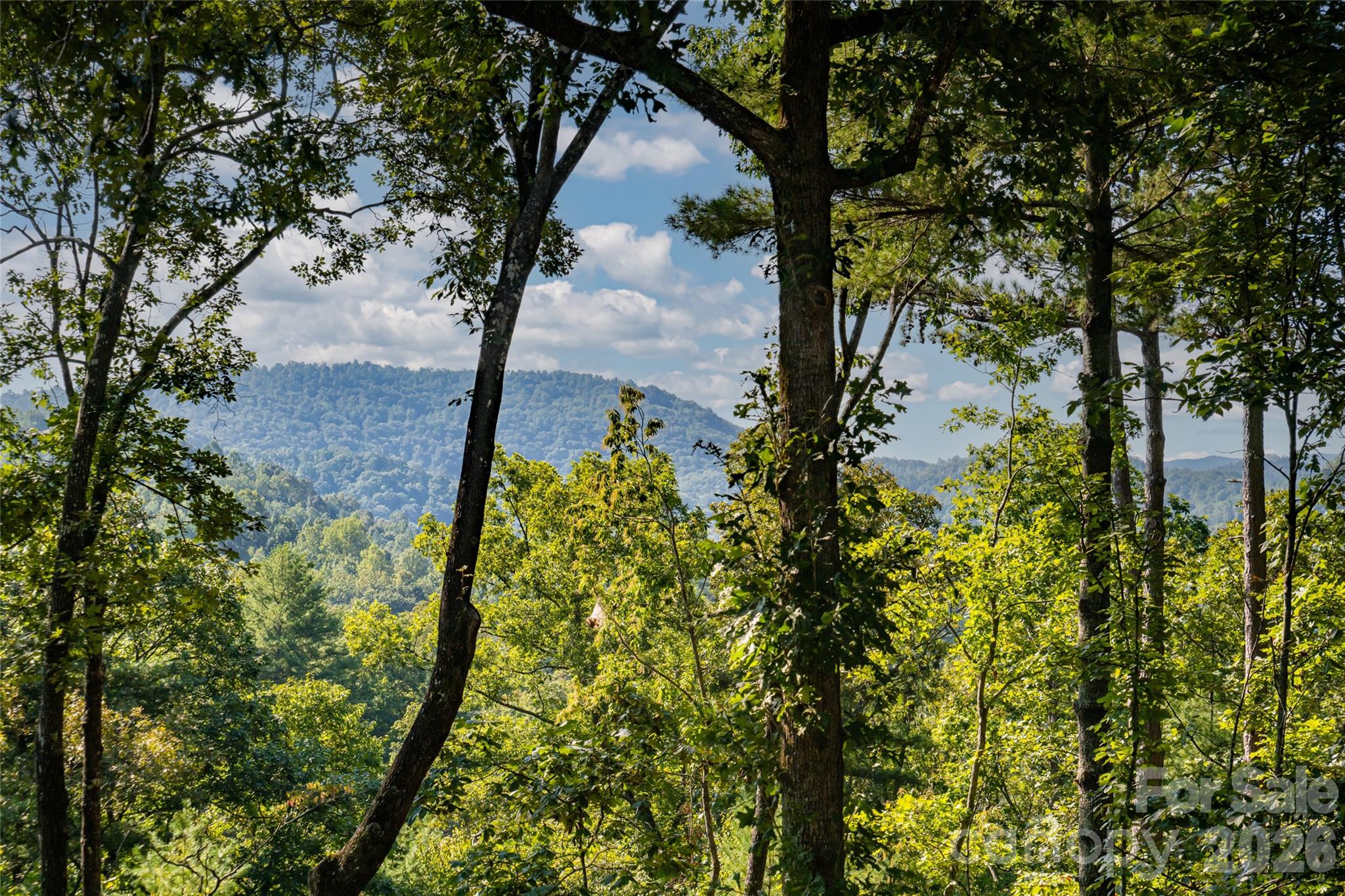 Beautiful mountain setting - 137 Bear Landing Drive, Hendersonville