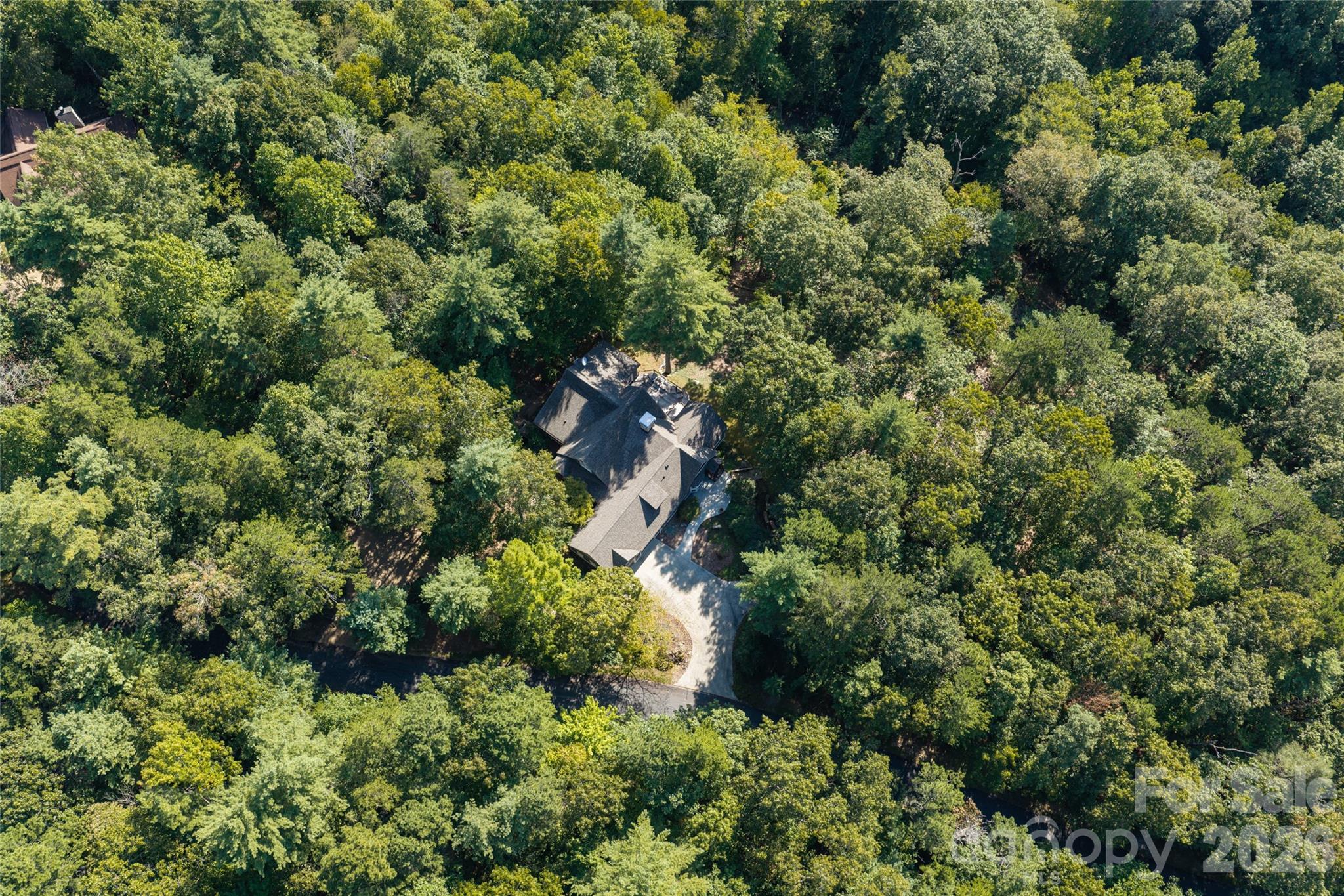 Overhead view - 137 Bear Landing Drive, Hendersonville