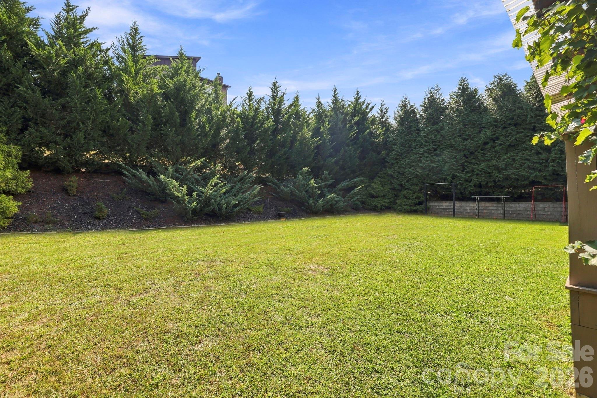 Private backyard - 9 Pondberry Court, Asheville