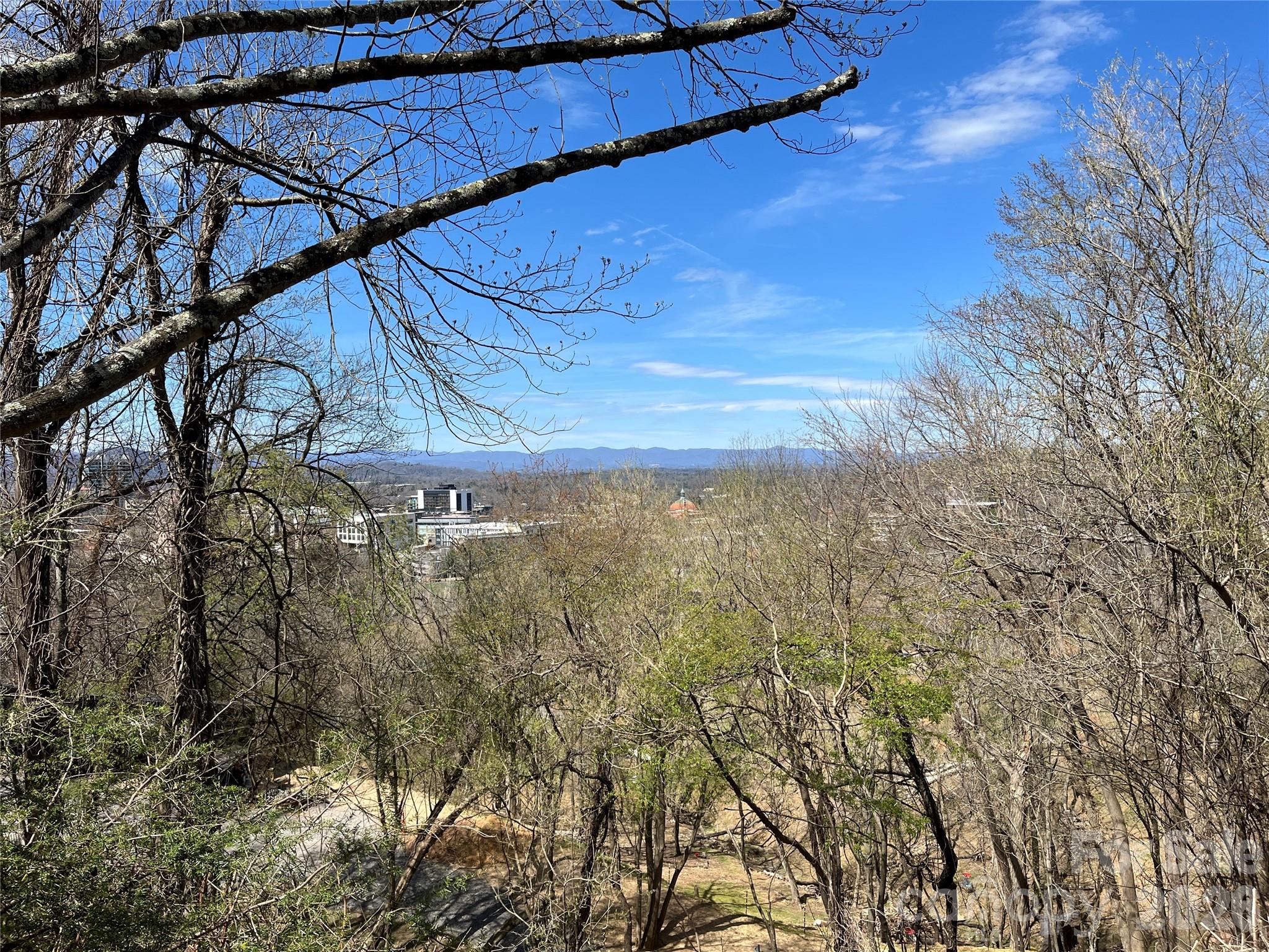 View with downtown to the left - 332 S Beaumont Street, Asheville