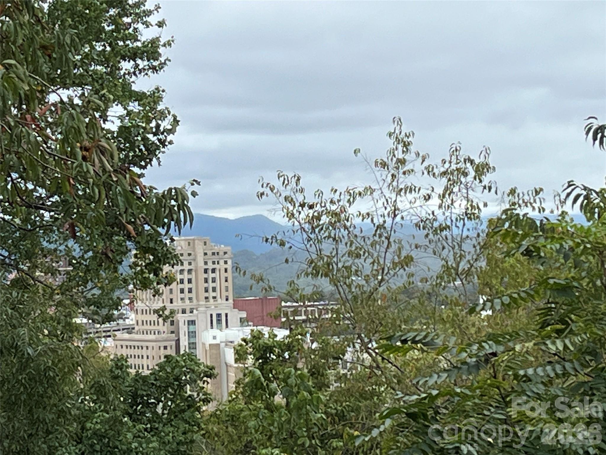 Fourplex at 332 S Beaumont Street, Asheville, photo 13 of 23