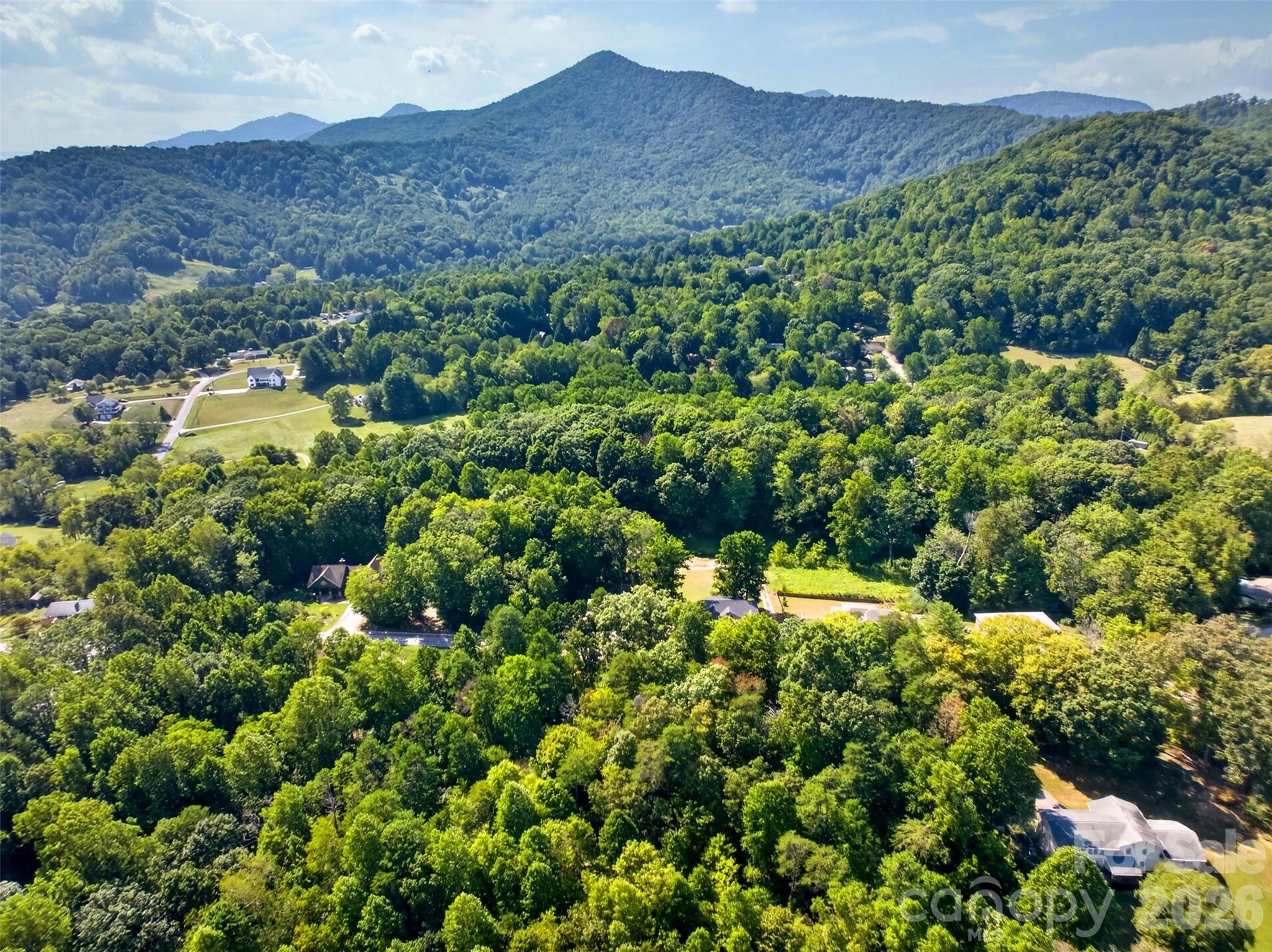 Candler serenity - 131 Ridge Road, Candler