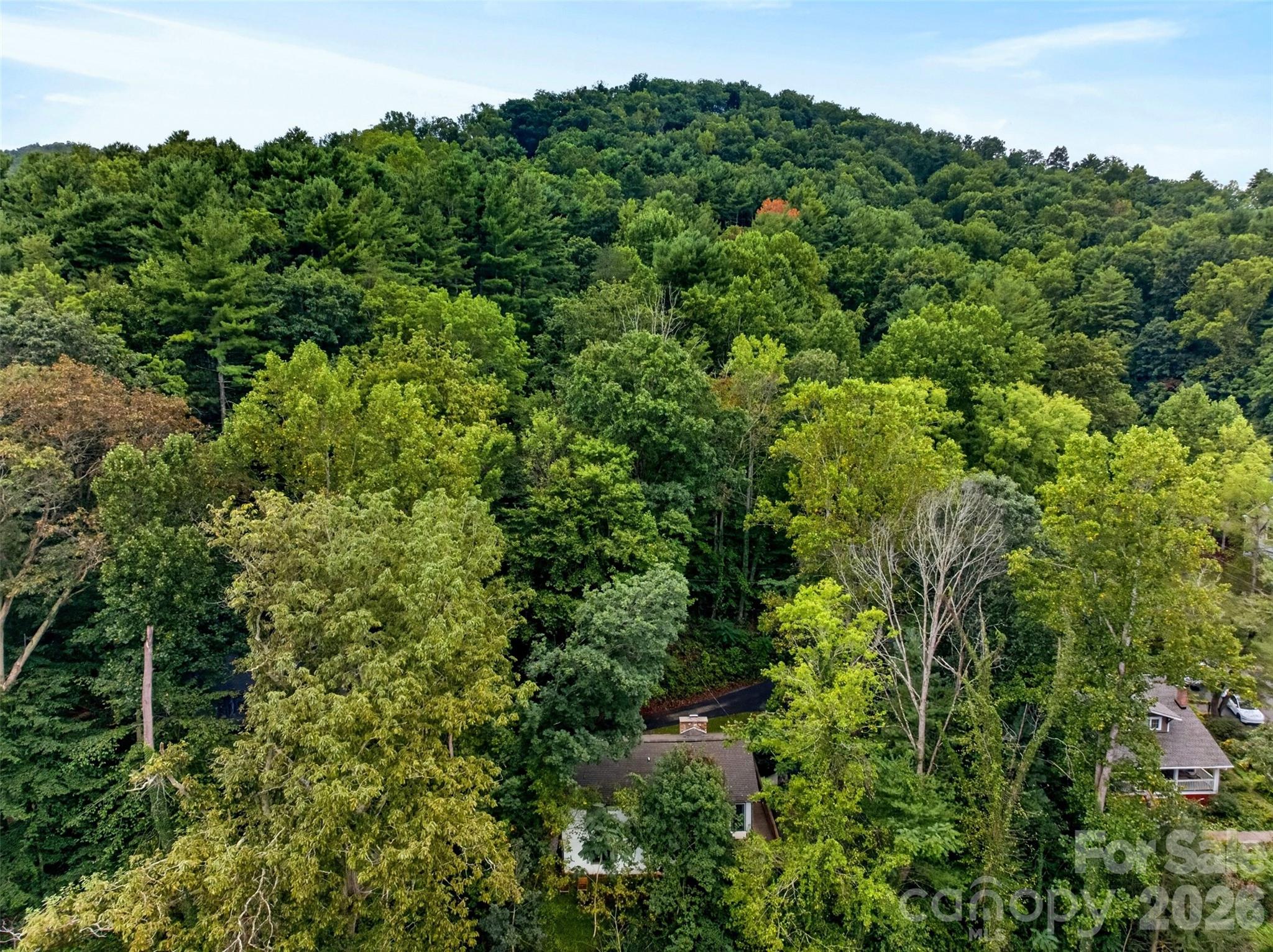 Mountain living yet close to Asheville amenities - 39 Spooks Branch Extension, Asheville