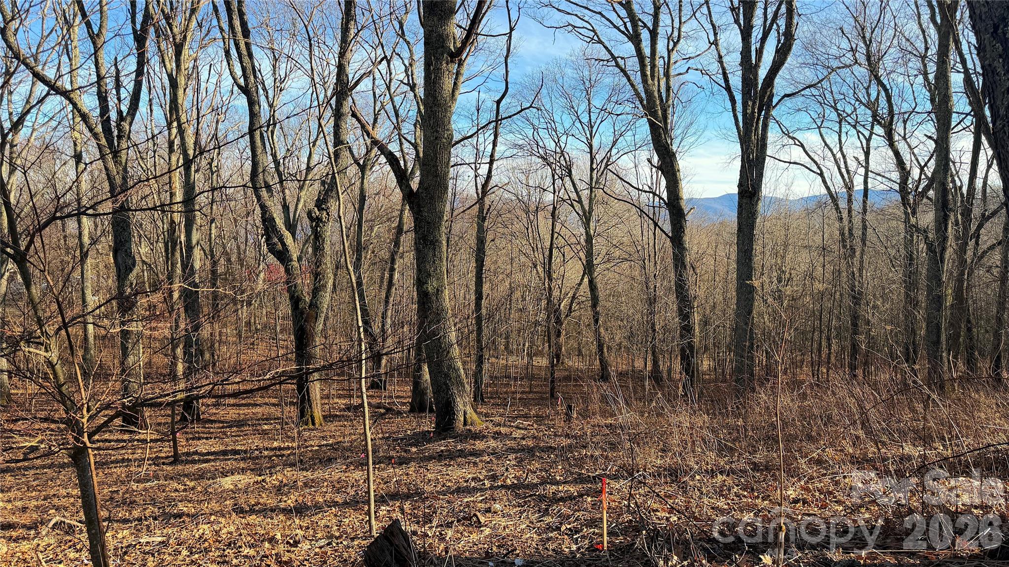 Lot at 114 Eagle View Circle, Waynesville, photo 2 of 31