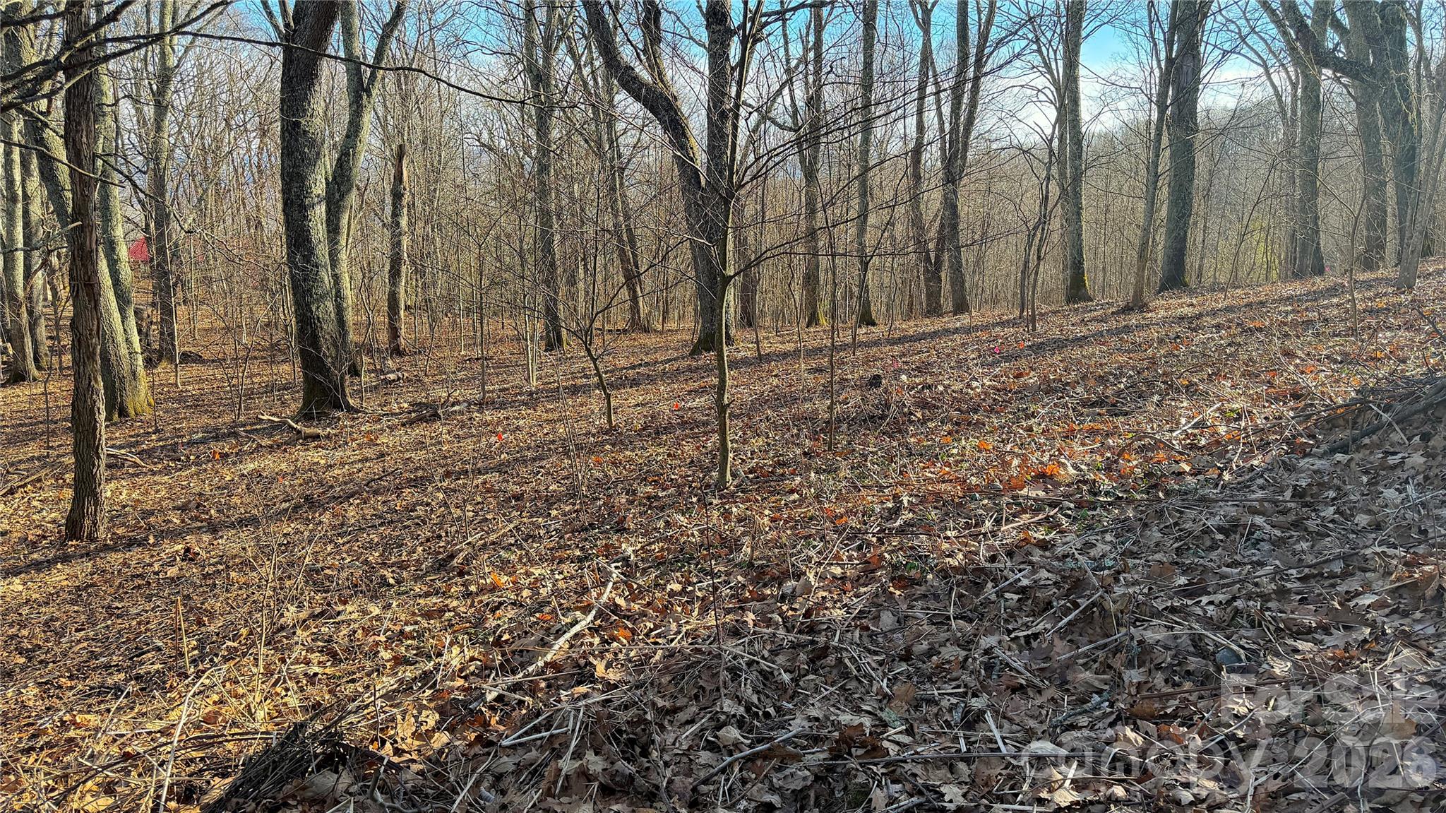 Lot at 114 Eagle View Circle, Waynesville, photo 4 of 31