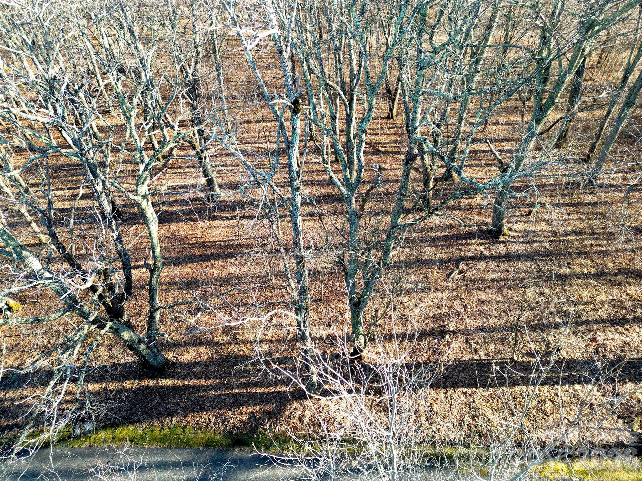 Lot at 114 Eagle View Circle, Waynesville, photo 5 of 31