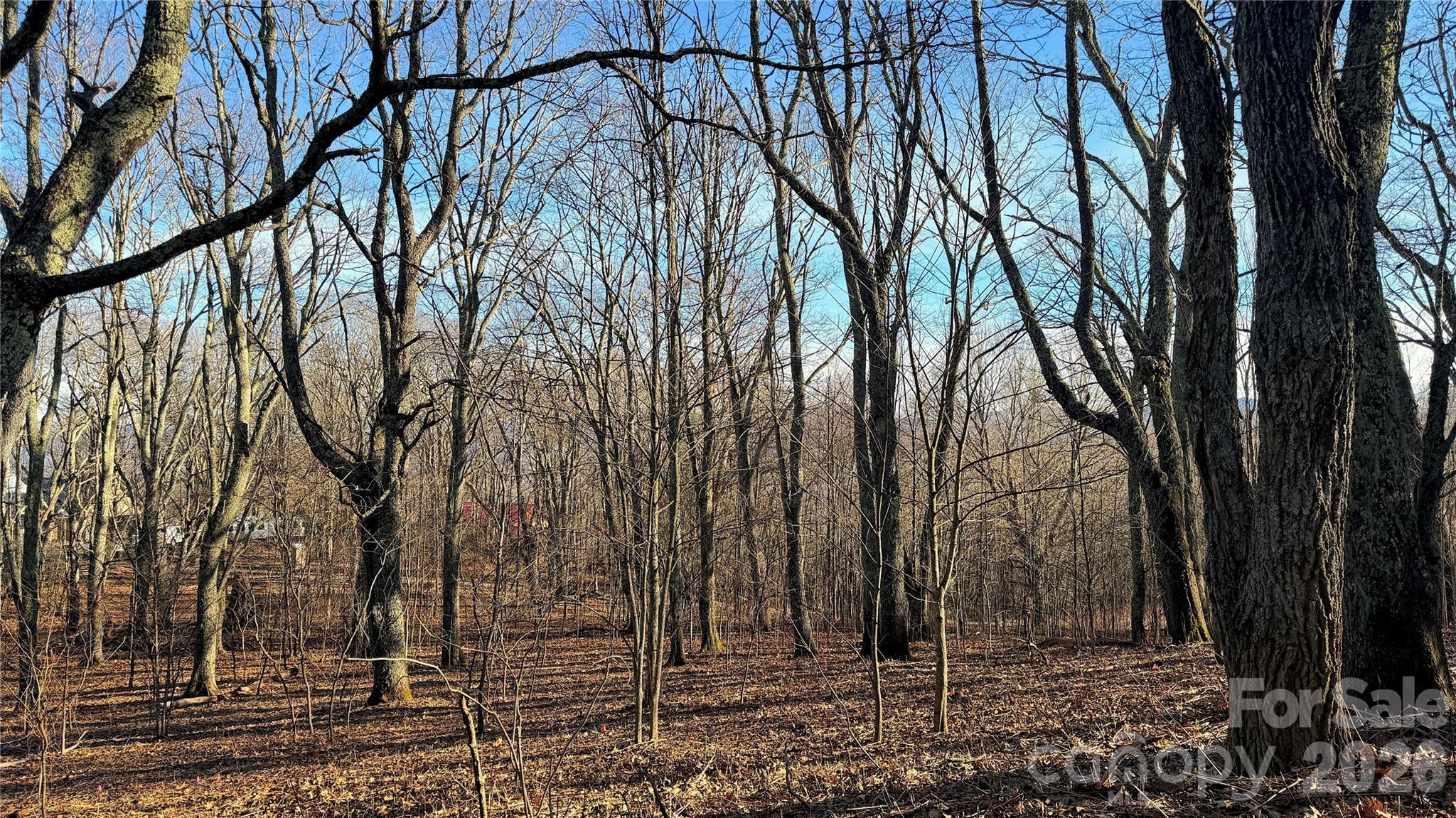 Lot at 114 Eagle View Circle, Waynesville, photo 11 of 31