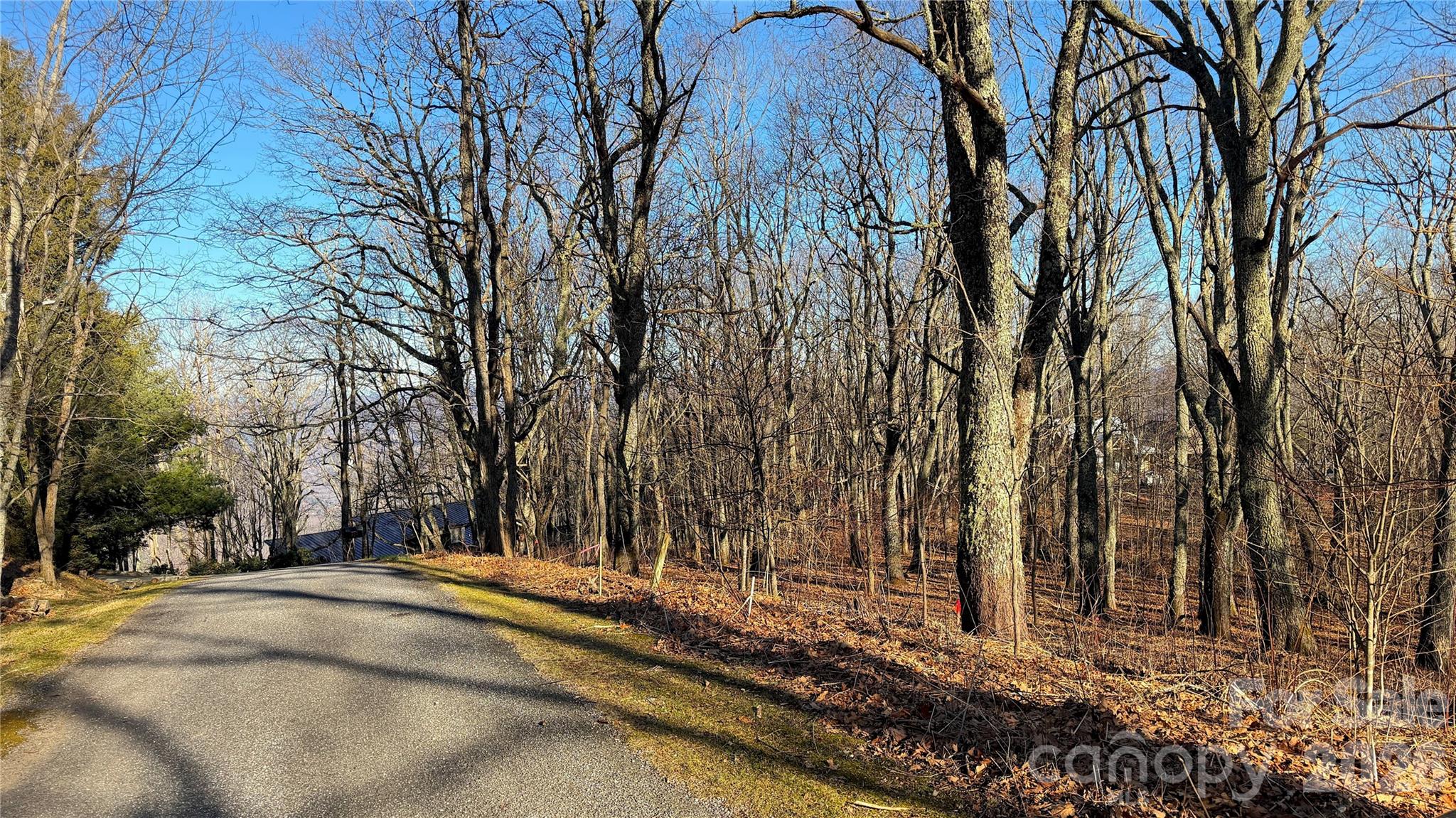 Lot at 114 Eagle View Circle, Waynesville, photo 12 of 31