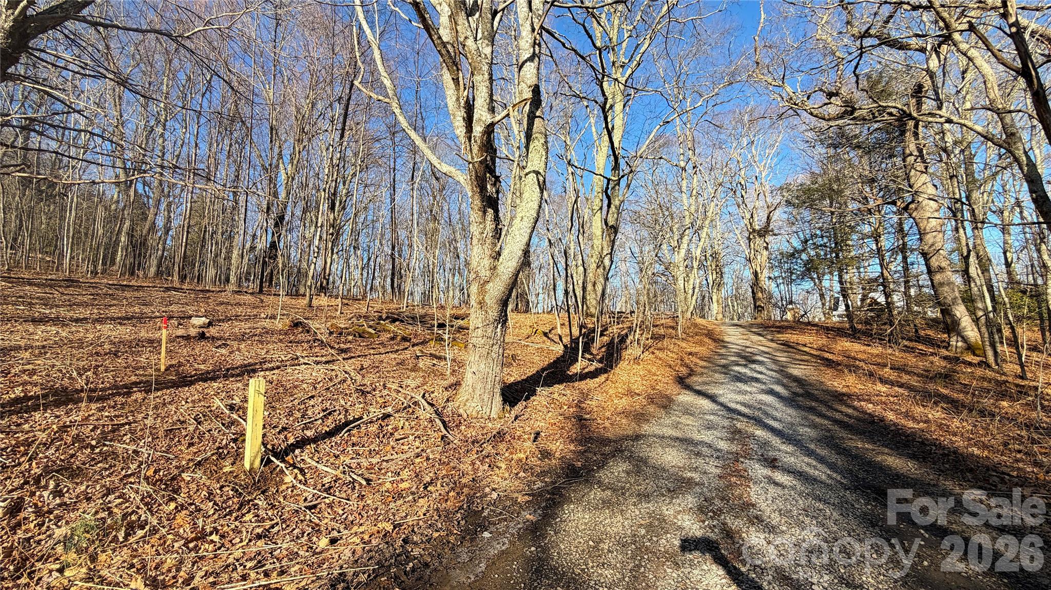Lot at 114 Eagle View Circle, Waynesville, photo 17 of 31