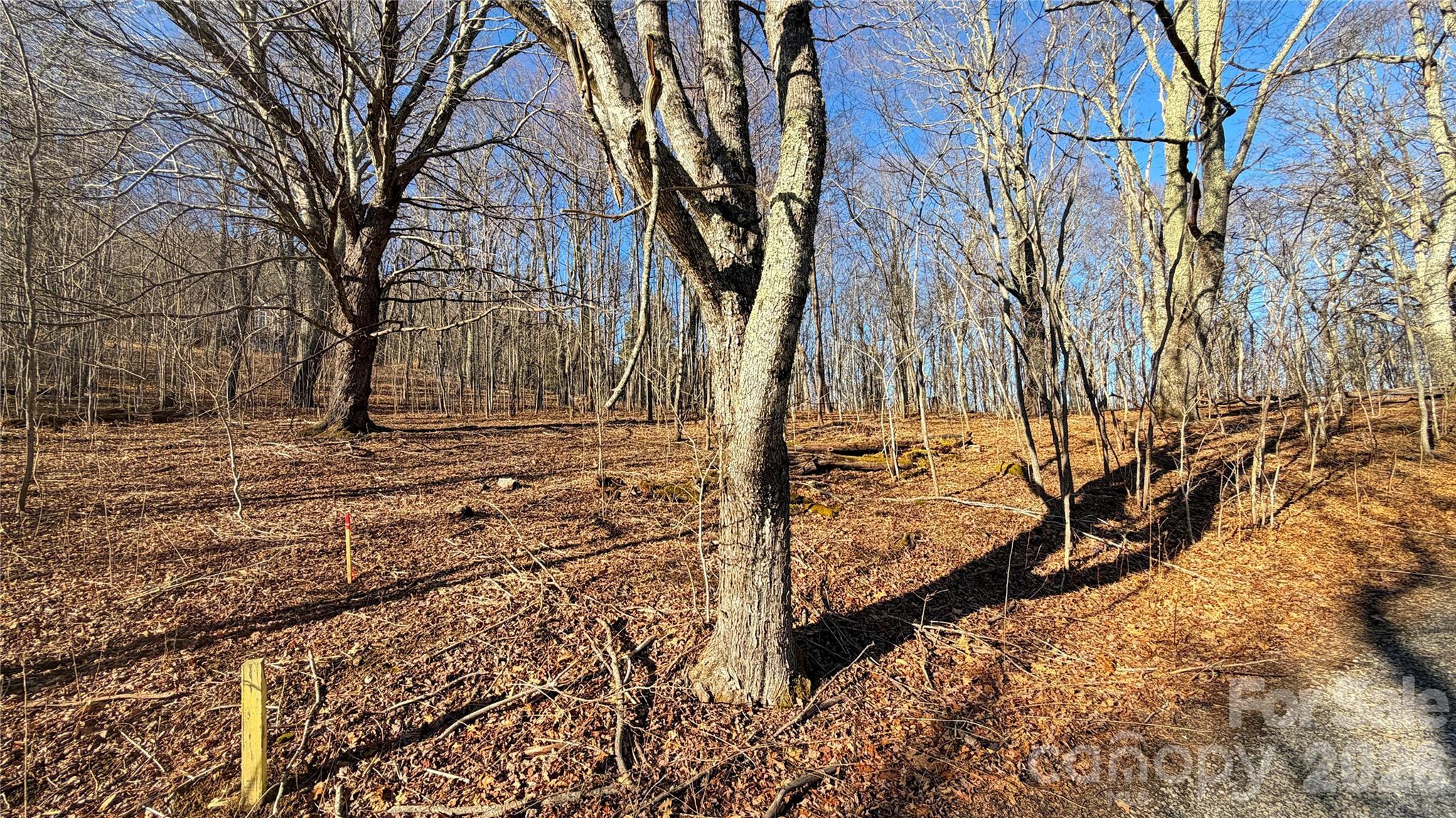 Lot at 114 Eagle View Circle, Waynesville, photo 18 of 31