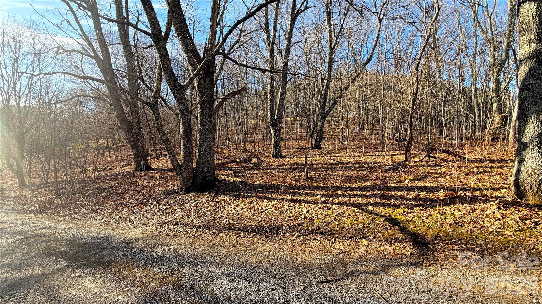 Lot at 114 Eagle View Circle, Waynesville, photo 20 of 31
