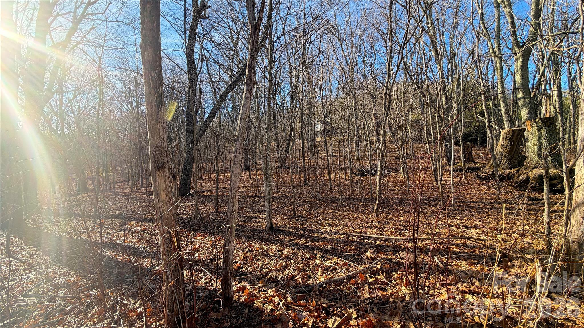 Lot at 114 Eagle View Circle, Waynesville, photo 21 of 31