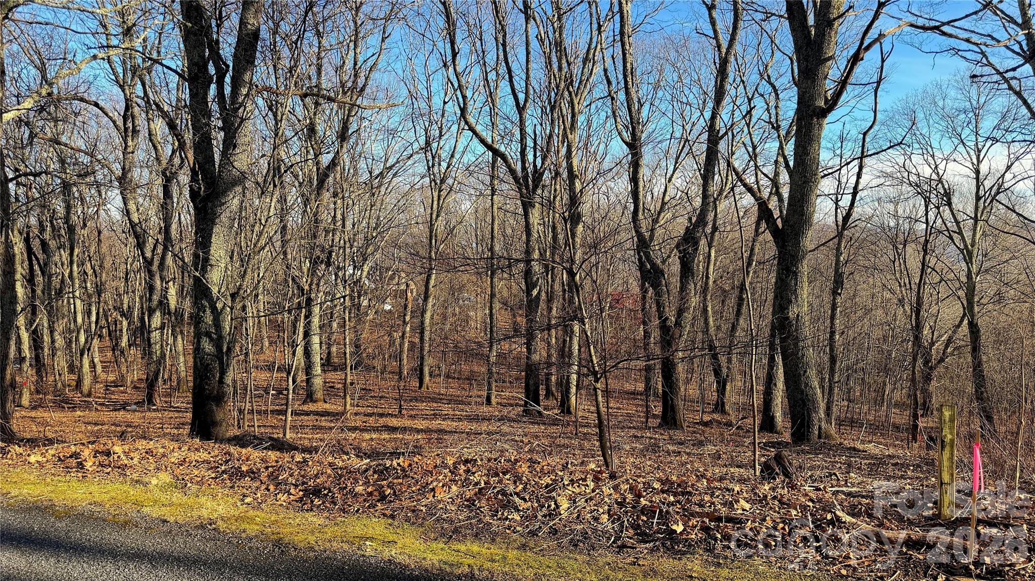 Lot at 114 Eagle View Circle, Waynesville, photo 24 of 31