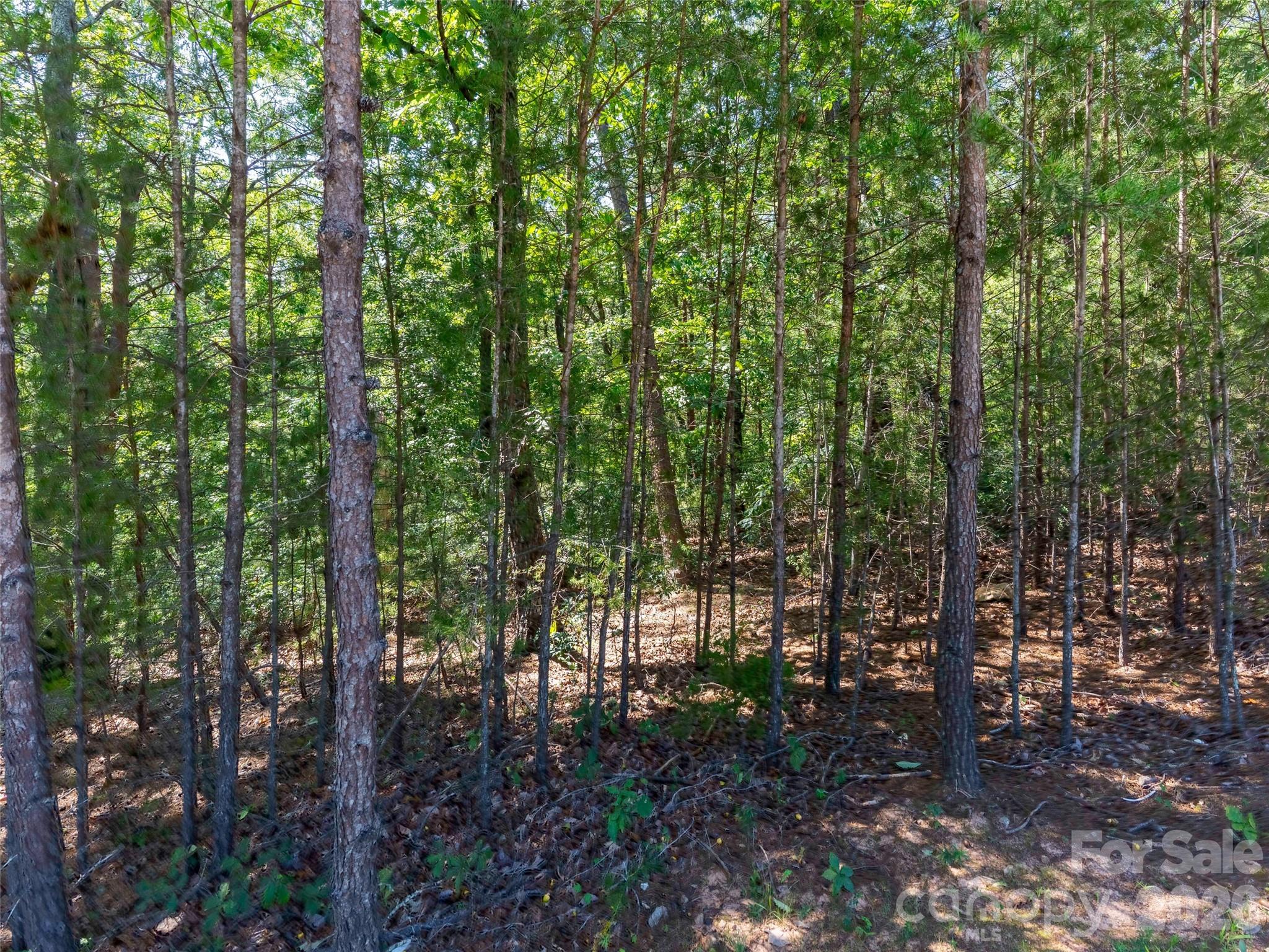 Lot at Lot 2006 Deep Gap Farm Road W, Mill Spring, photo 2 of 21