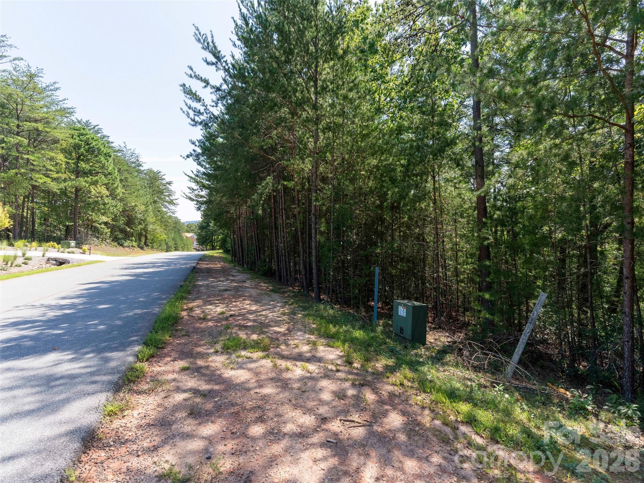 Lot at Lot 2006 Deep Gap Farm Road W, Mill Spring, photo 3 of 21