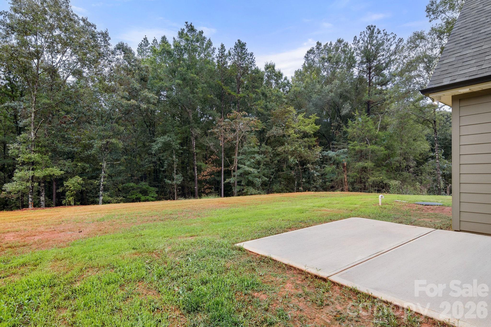 Private backyard w/ woods view - 137 McCorkle Street, York