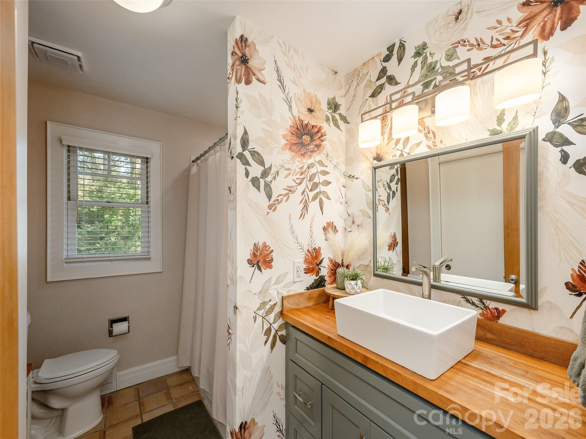 Single Family Residence at 275 S Rugby Road, Hendersonville, photo 26 of 41