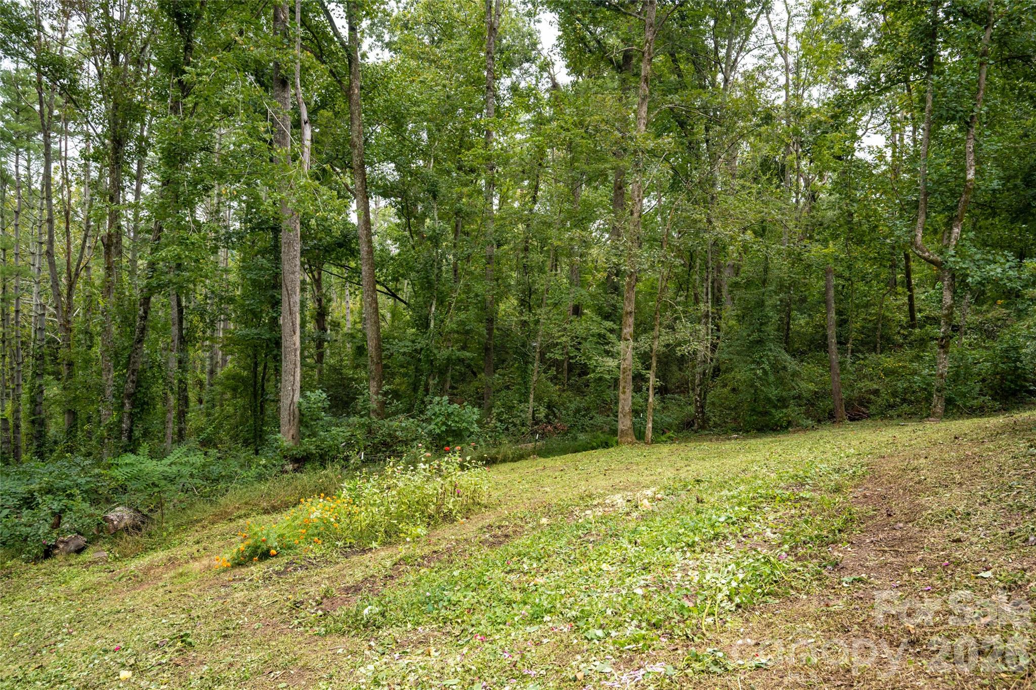 Single Family Residence at 93 White Pine Drive, Fletcher, photo 45 of 46