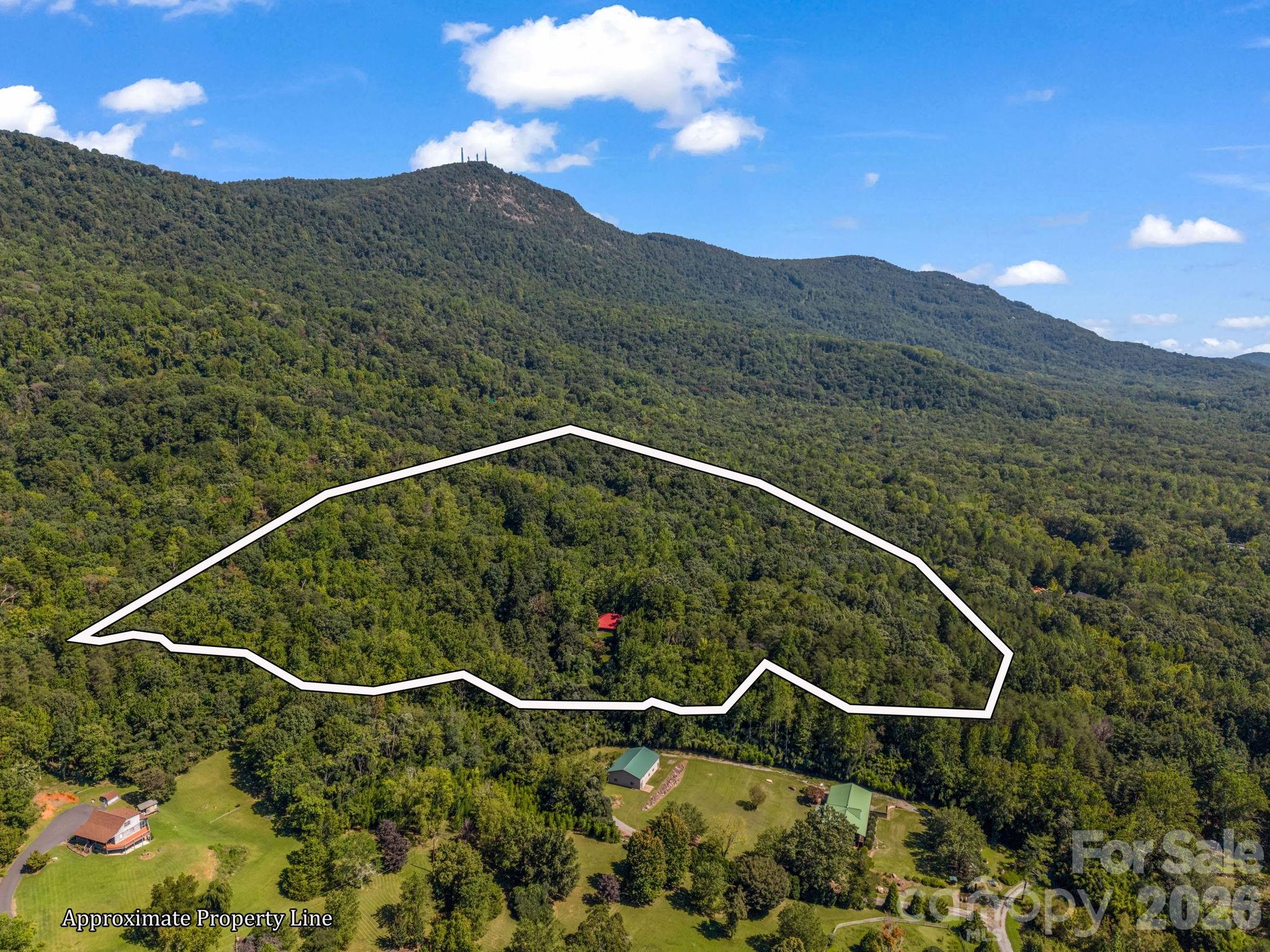 Approximate lot lines, private 11.24 acres - 145 Stone Hedge Lane, Tryon