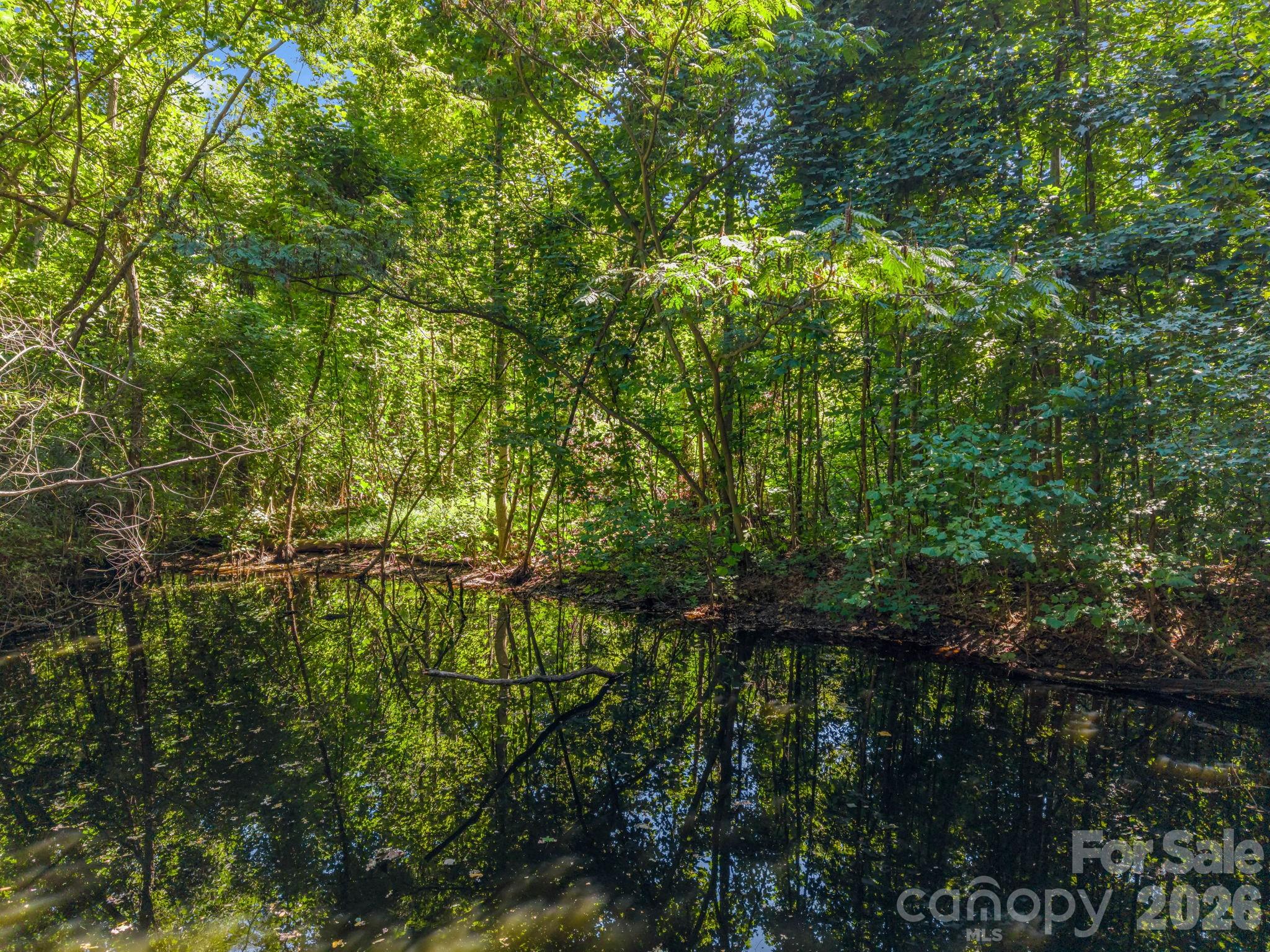Pond is visible but not easily accessed - 145 Stone Hedge Lane, Tryon