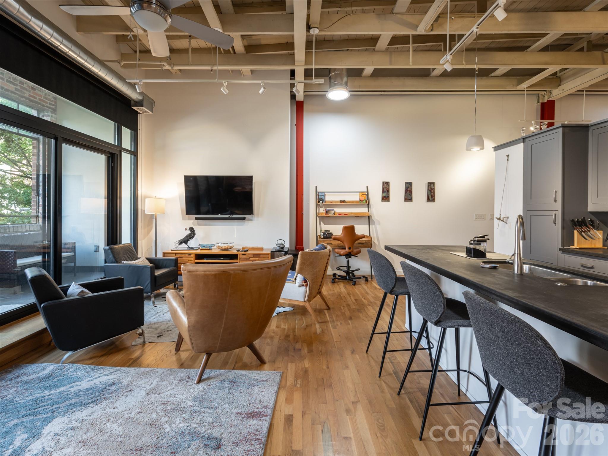 Suntubes throughout for added natural light - 15 Rankin Avenue, Asheville