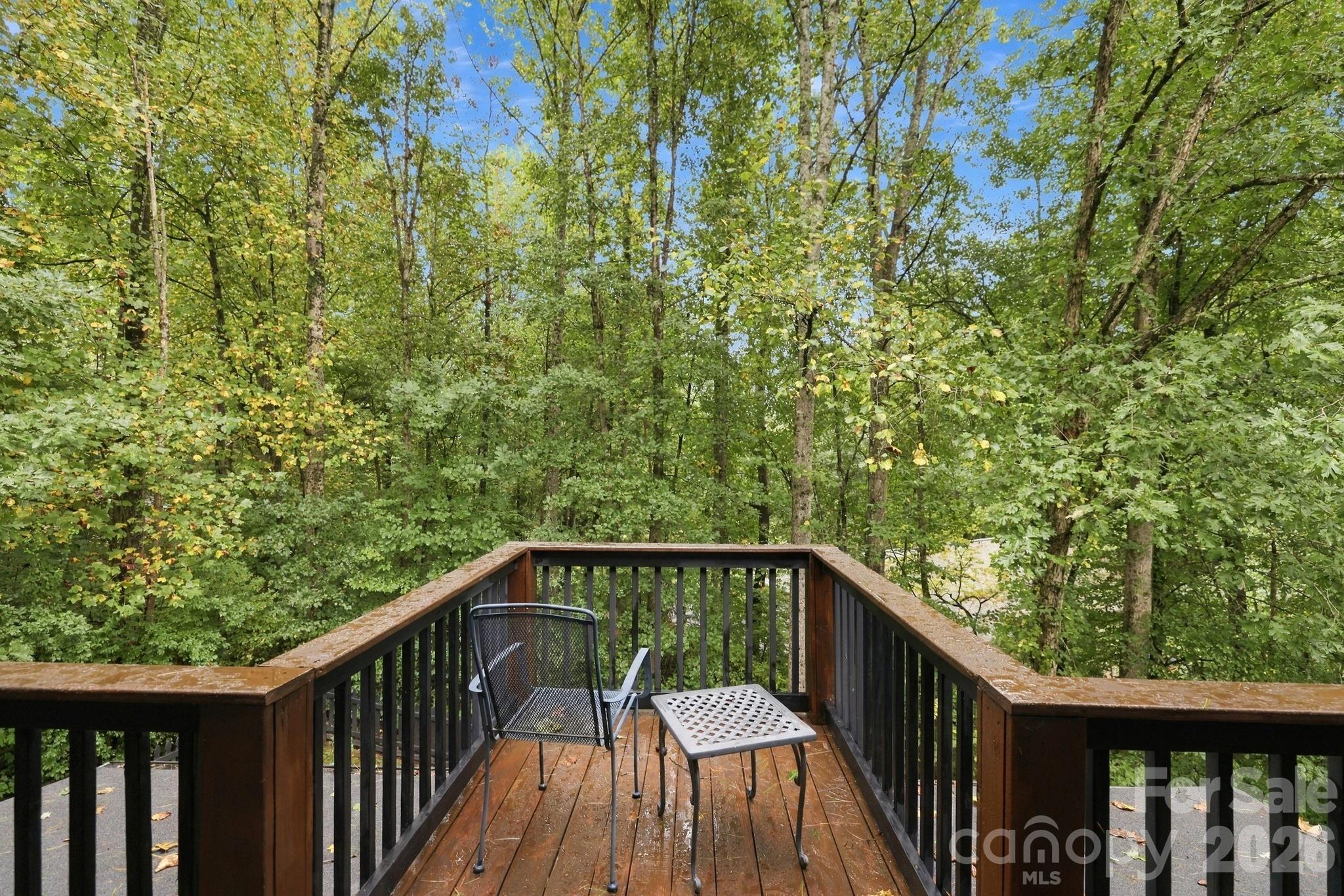 Single Family Residence at 176 Sweetwater Hills Drive, Hendersonville, photo 32 of 48