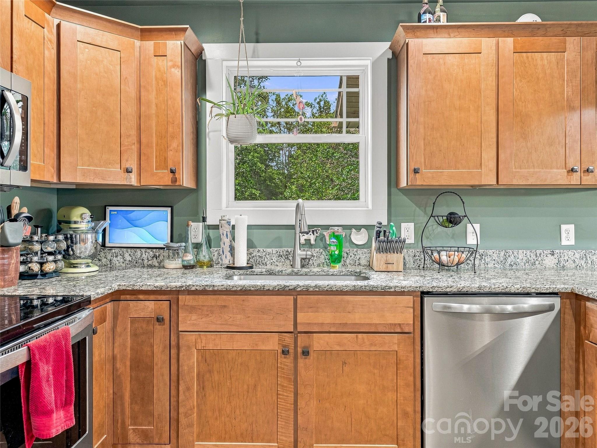 Single Family Residence at 1884 Bear Creek Road, Leicester, photo 9 of 34