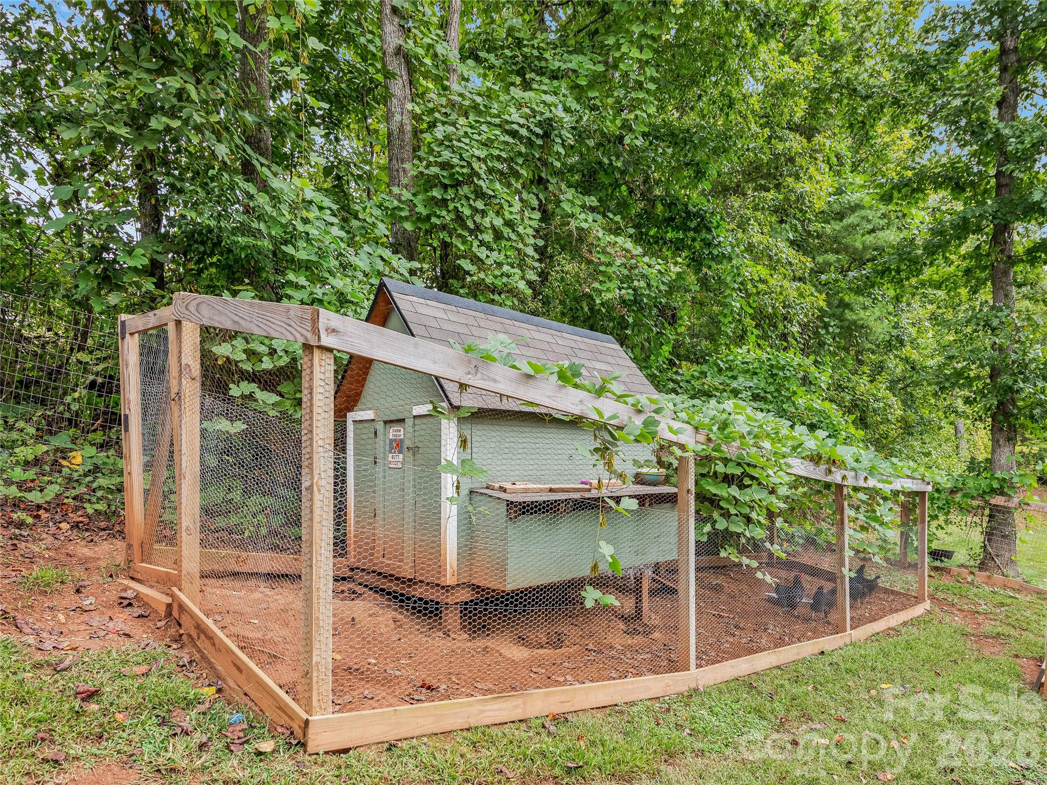Chicken Coop - 1884 Bear Creek Road, Leicester