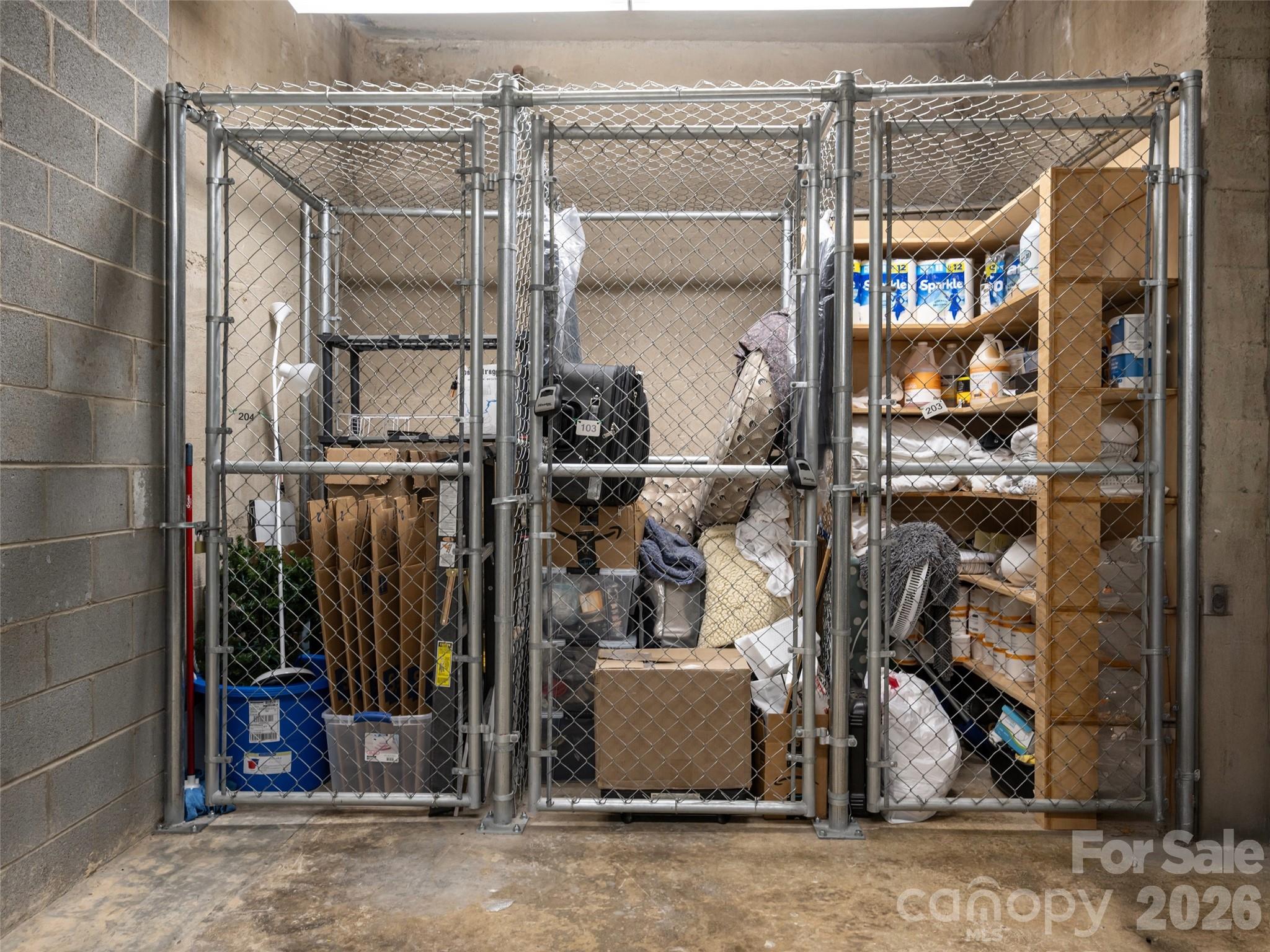 Additional storage in basement - 15 Rankin Avenue, Asheville