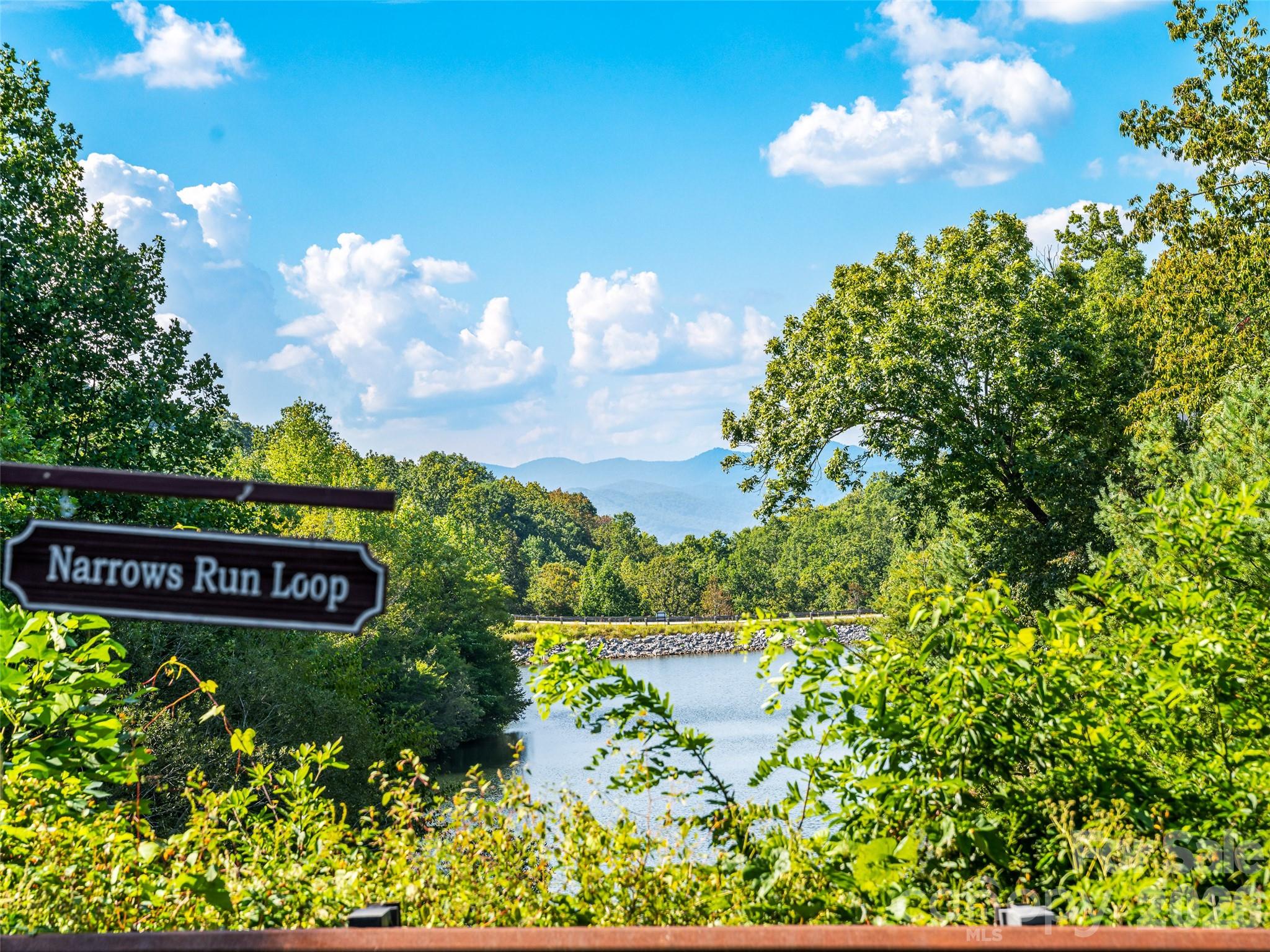 Bowing Lake - 158 Narrows Run Loop, Hendersonville