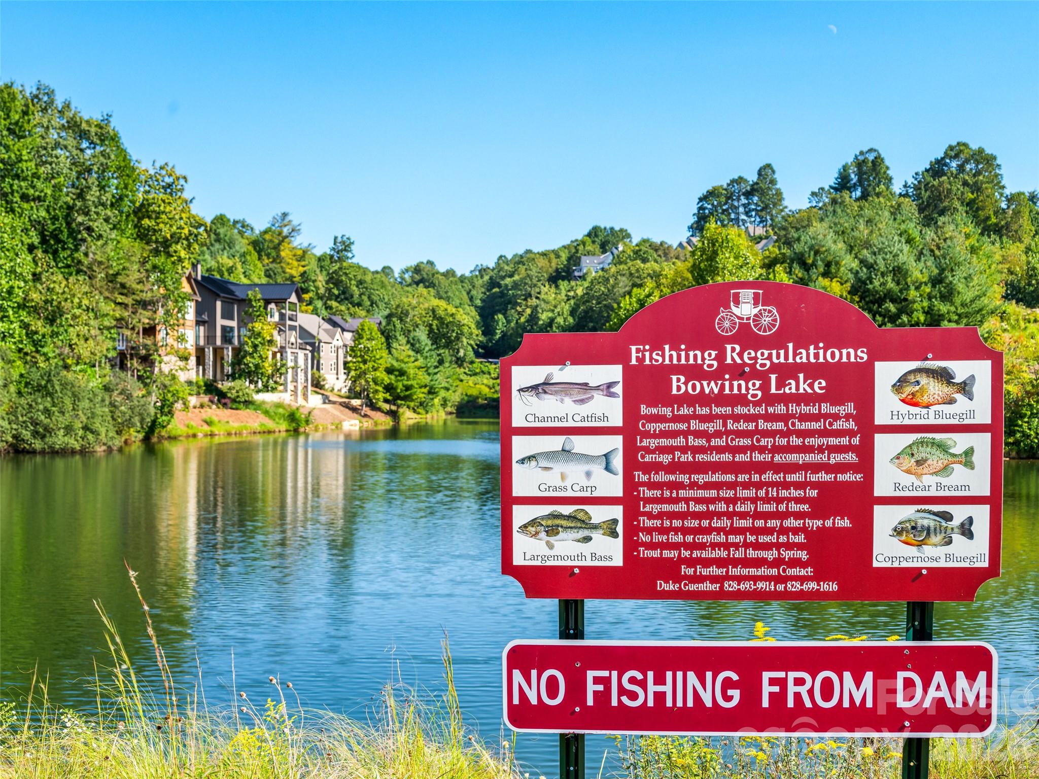 Types of stocked fish! - 158 Narrows Run Loop, Hendersonville
