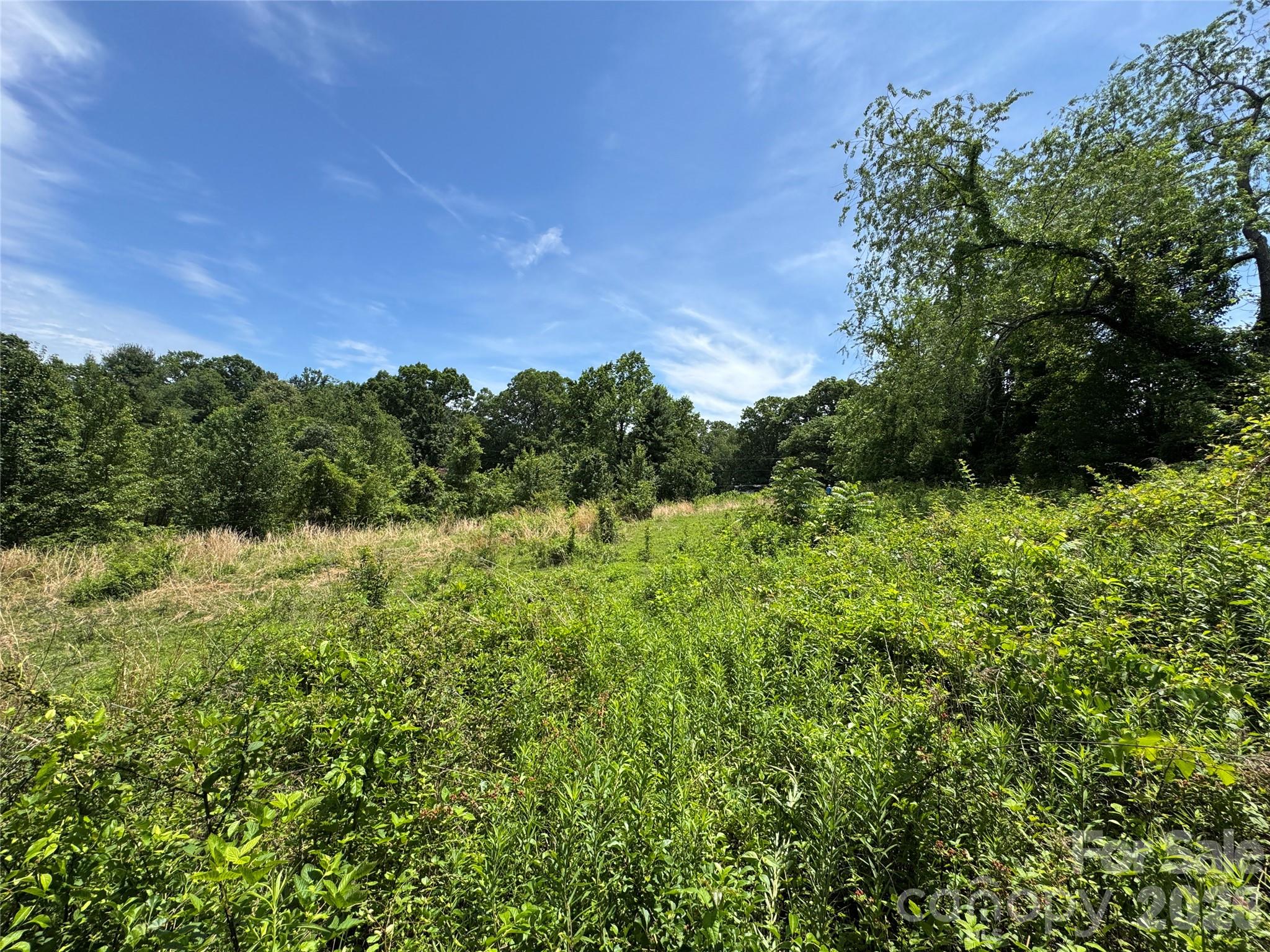 Lot at 99999 Duckett Road, Candler, photo 19 of 28