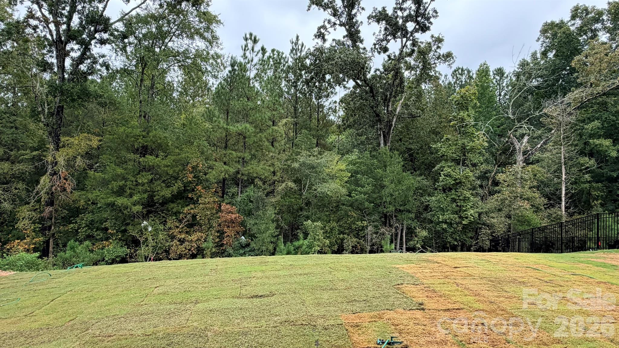 Backyard - 742 Clovis Street, Rock Hill
