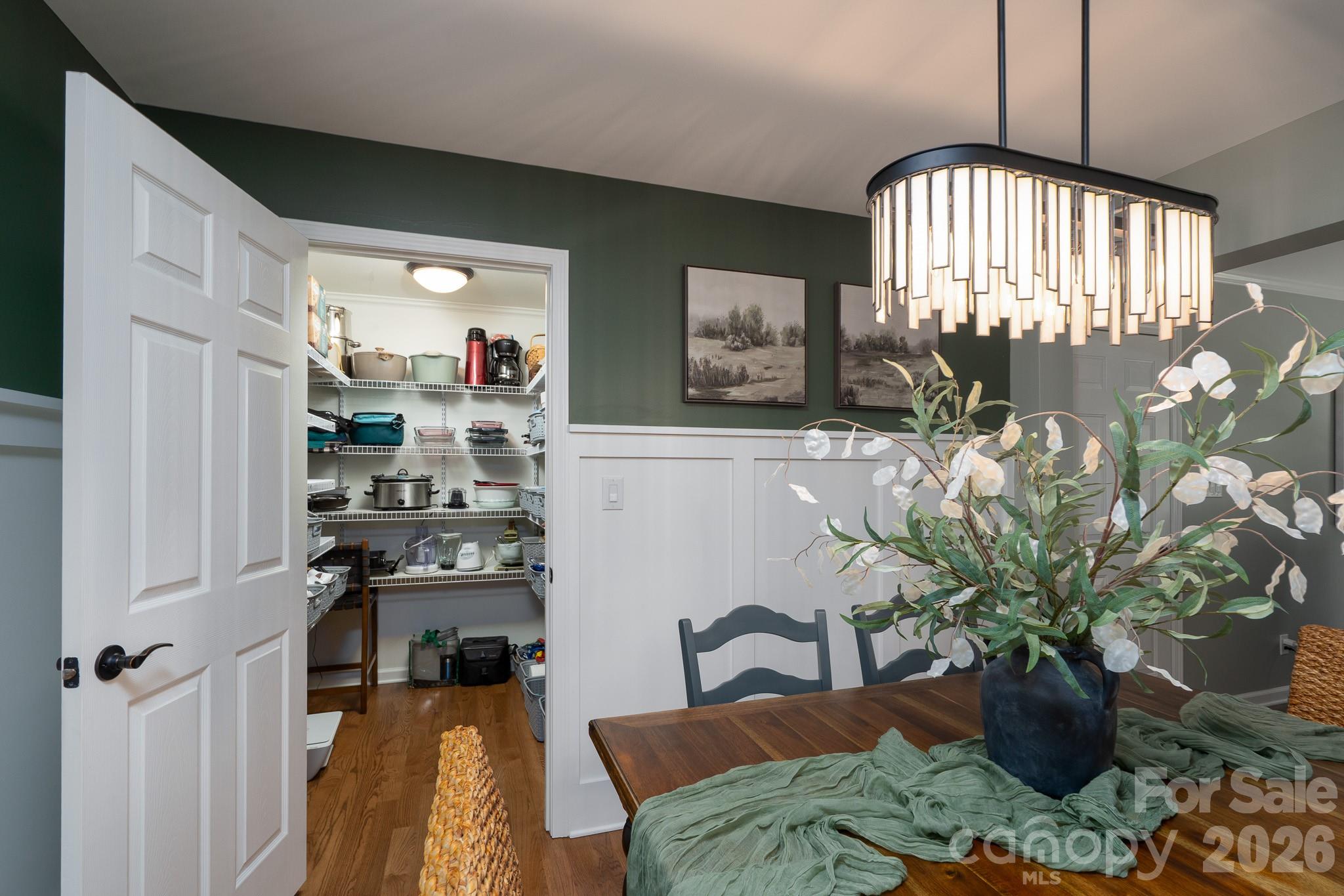 Walk-in pantry - 309 Imperial Way, Albemarle