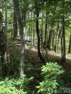 Lot at 22 Signature Row Boulevard, Waynesville, photo 2 of 14