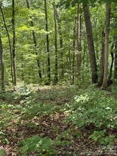 Lot at 22 Signature Row Boulevard, Waynesville, photo 3 of 14