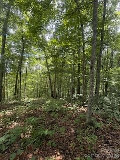 Lot at 22 Signature Row Boulevard, Waynesville, photo 4 of 14