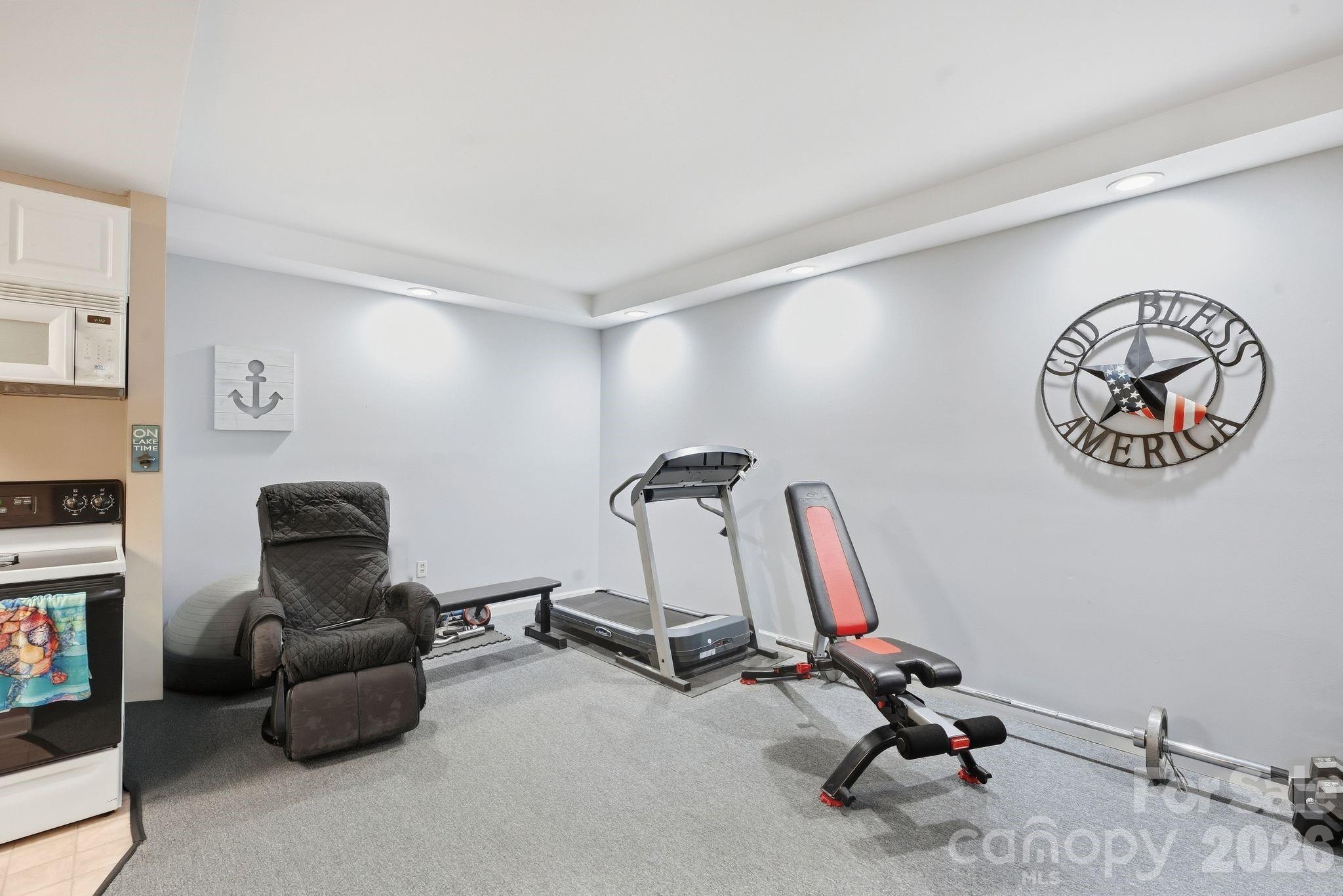 Flex Space - Basement - 2055 Tiger Paw Lane, York